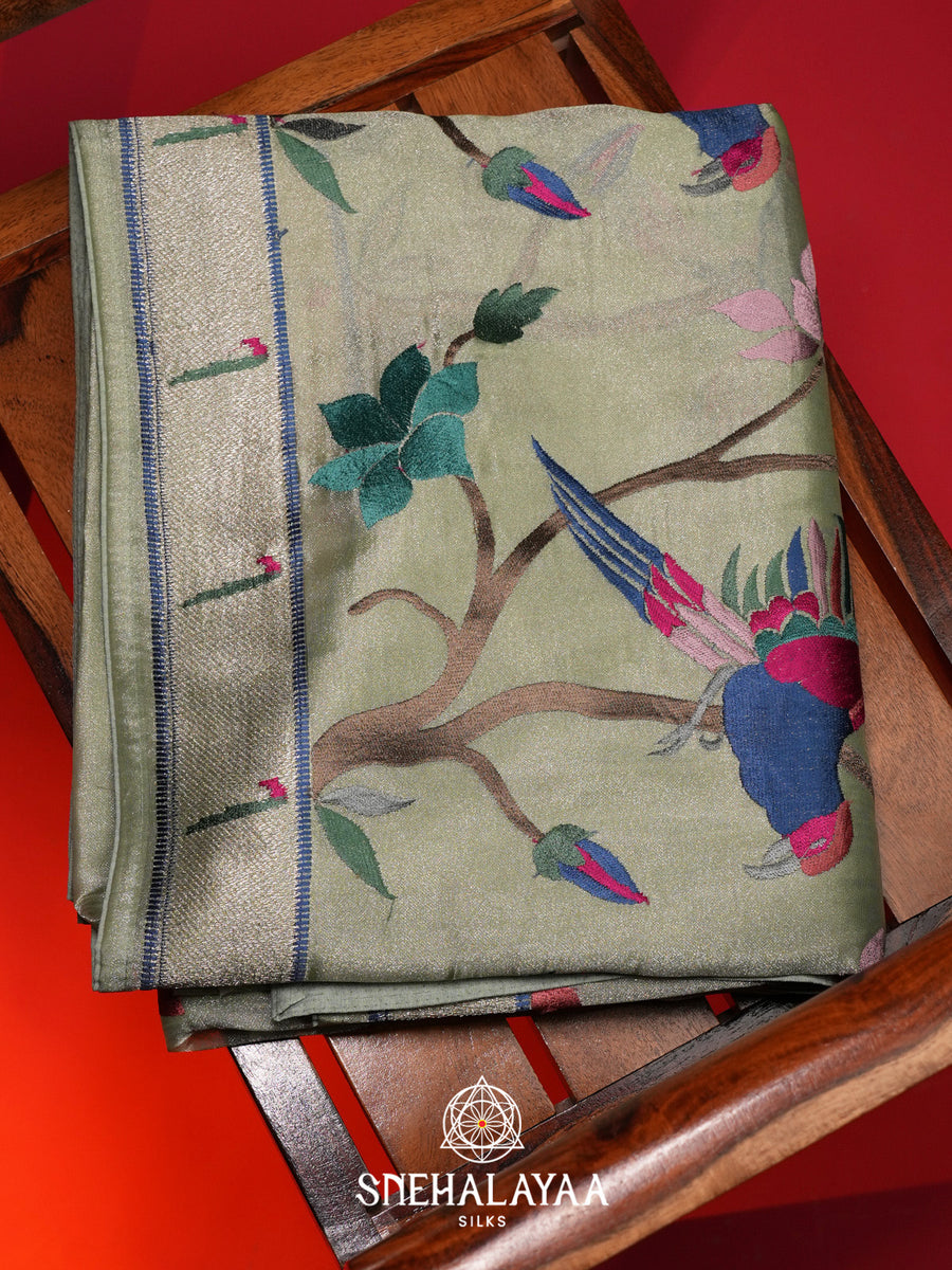 Sage Green Tissue Saree with Paithani Design