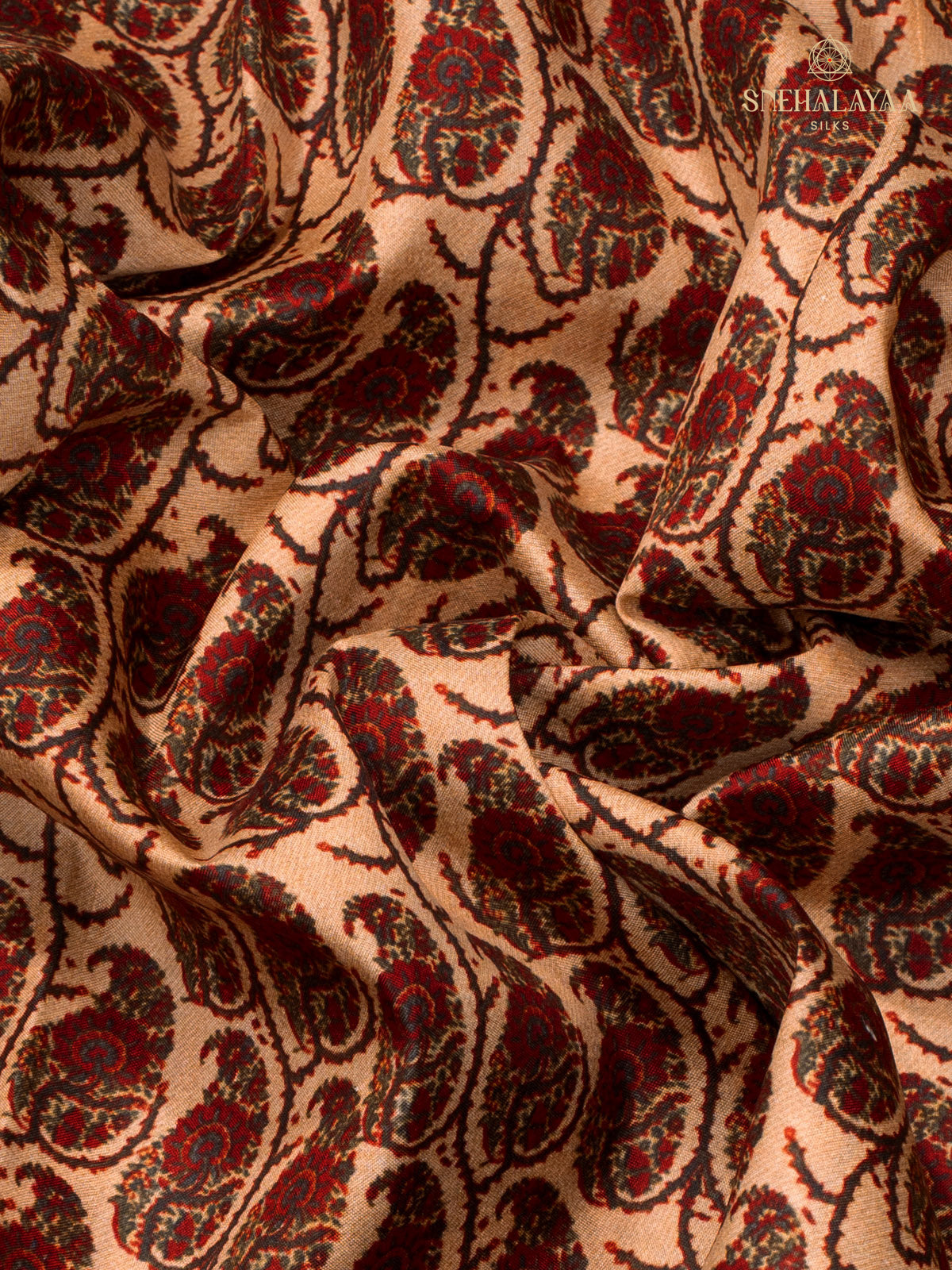 Brown Tussar Saree