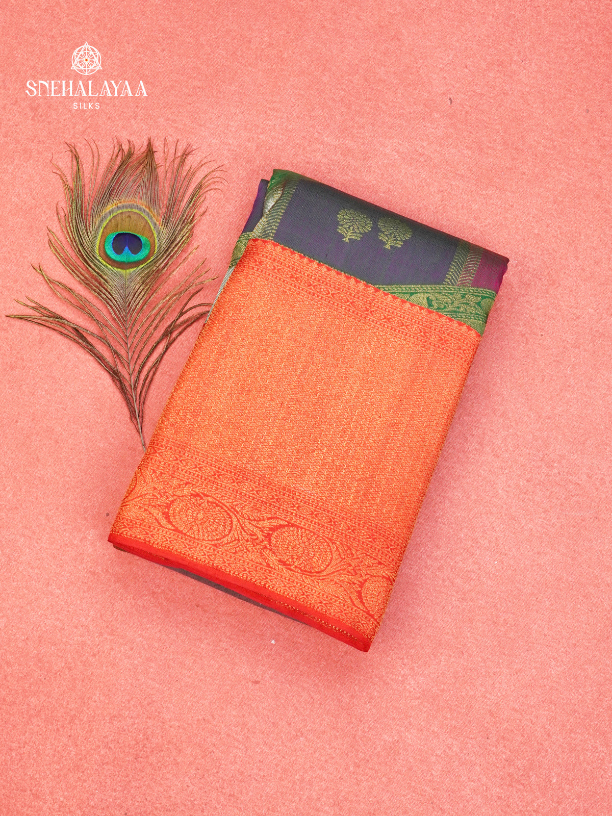 Multi Colour Kanjivaram Silk Saree