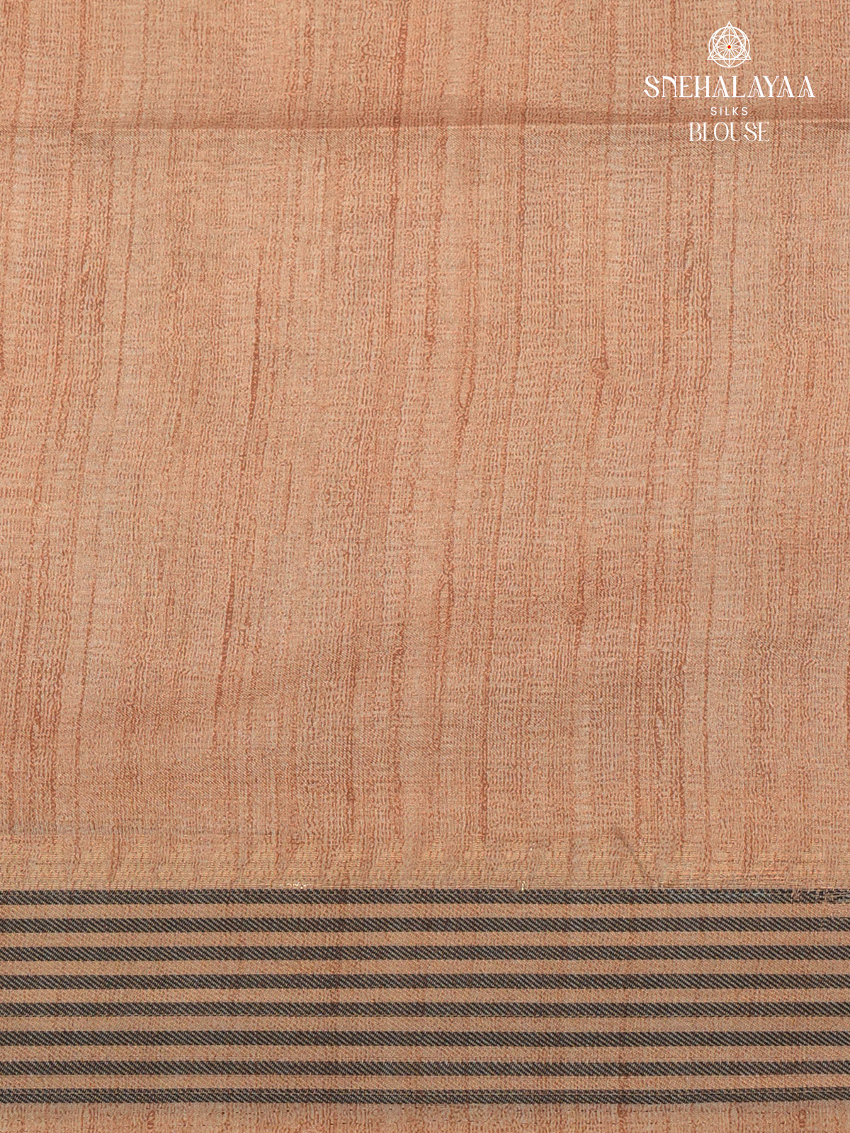 Beige With Grey Border Kalamkari Tussar Saree