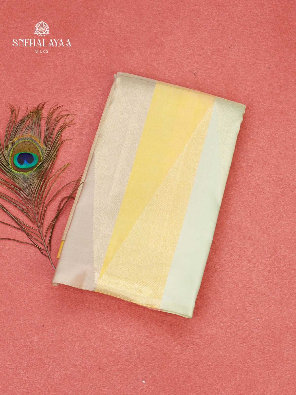 Multi Colour Kanjivaram Silk Saree