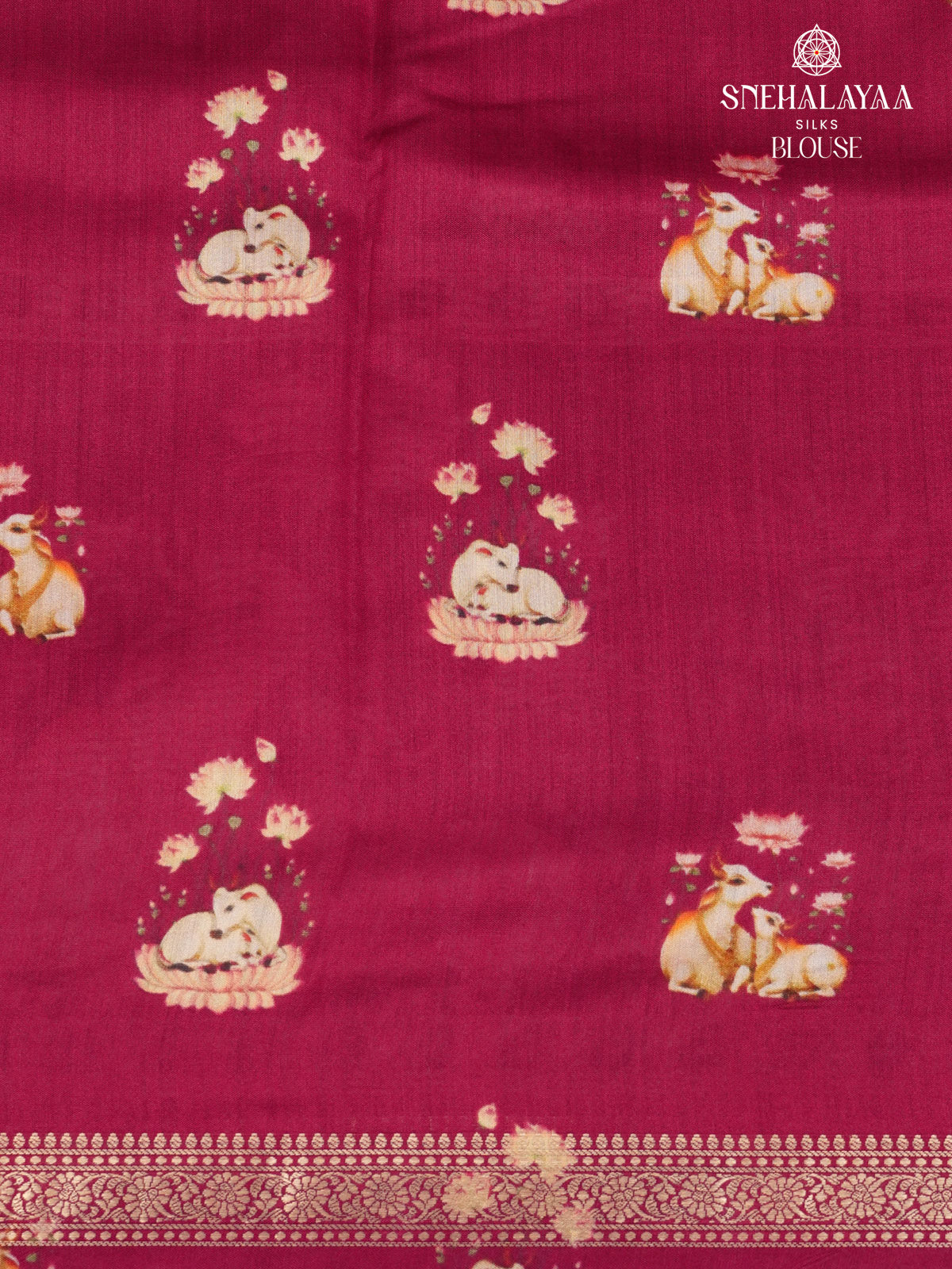 Pink Chiniya Silk Saree