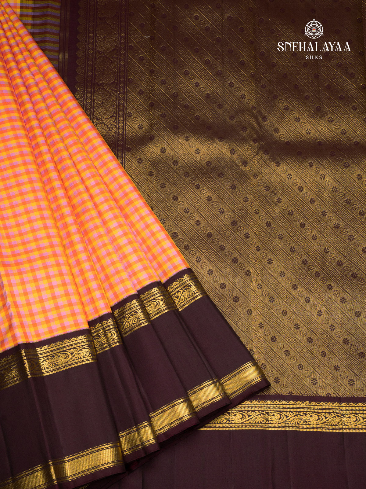 Multi Colour Kanjivaram Silk Saree