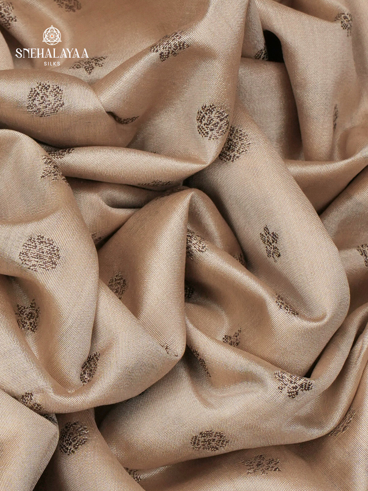 Beige Banaras Chiniya Silk Saree