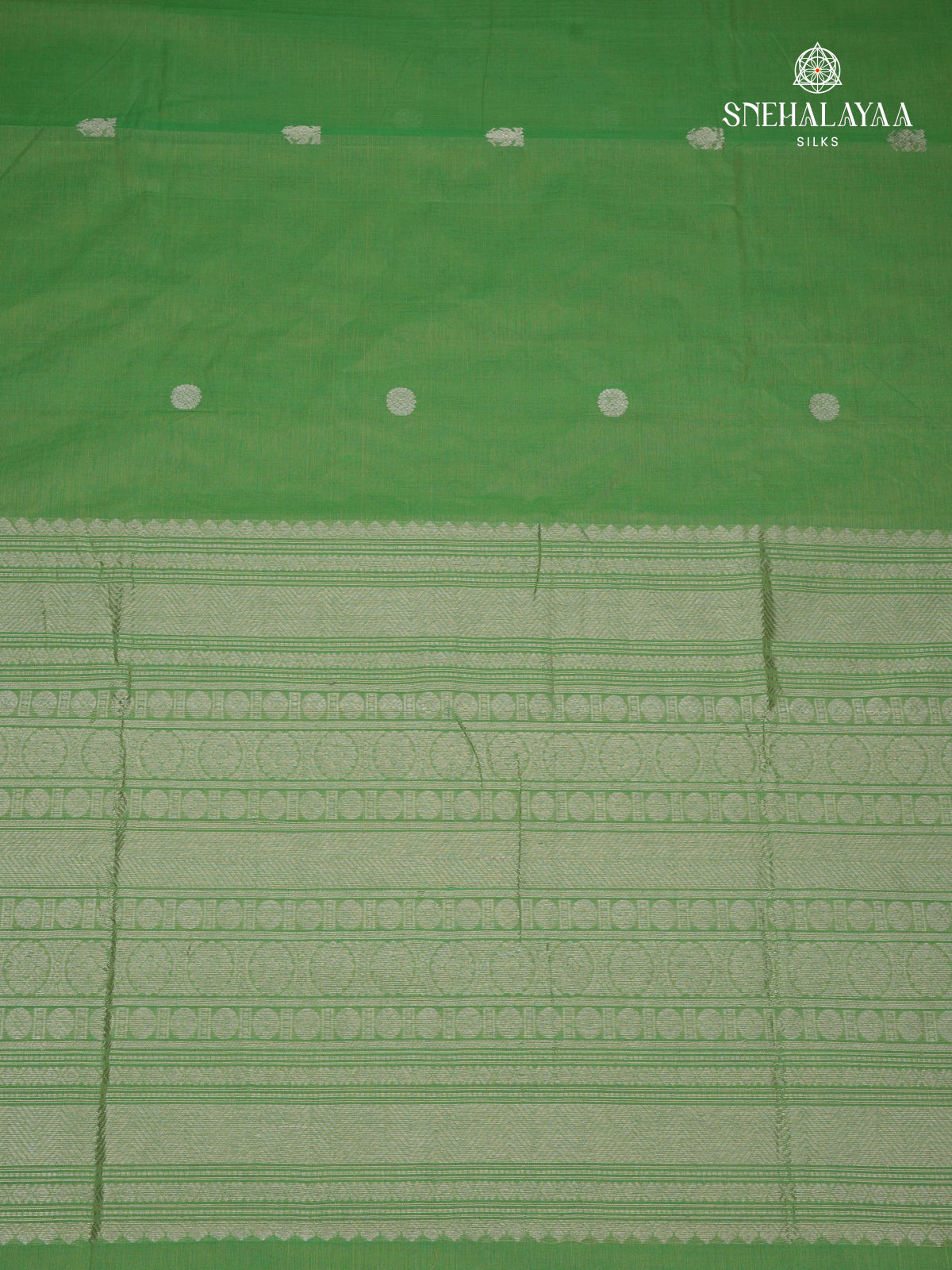 Green Venkatagiri Cotton Saree