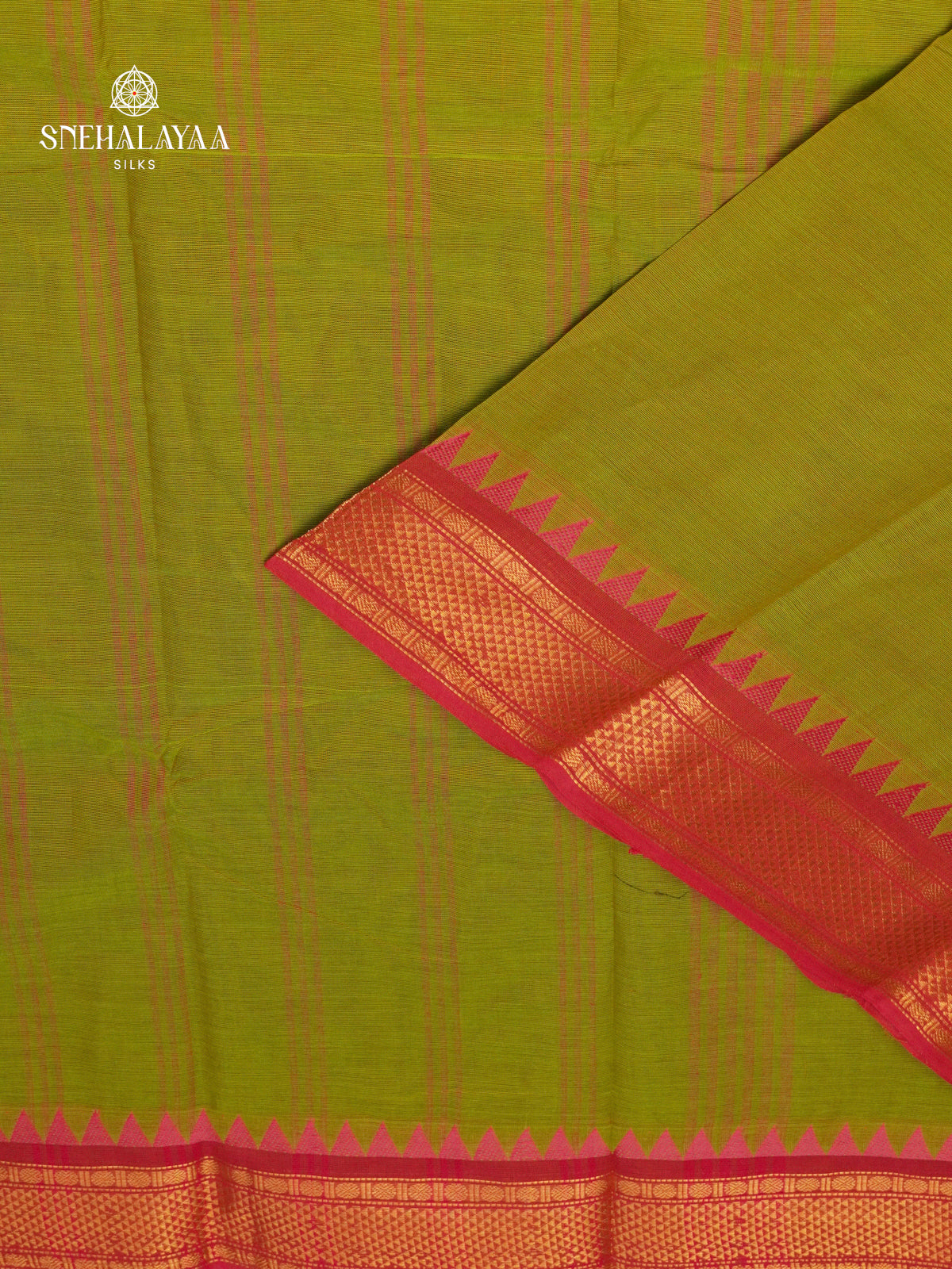 Olive Green Kanchi Cotton Saree with Red & Blue Woven Borders