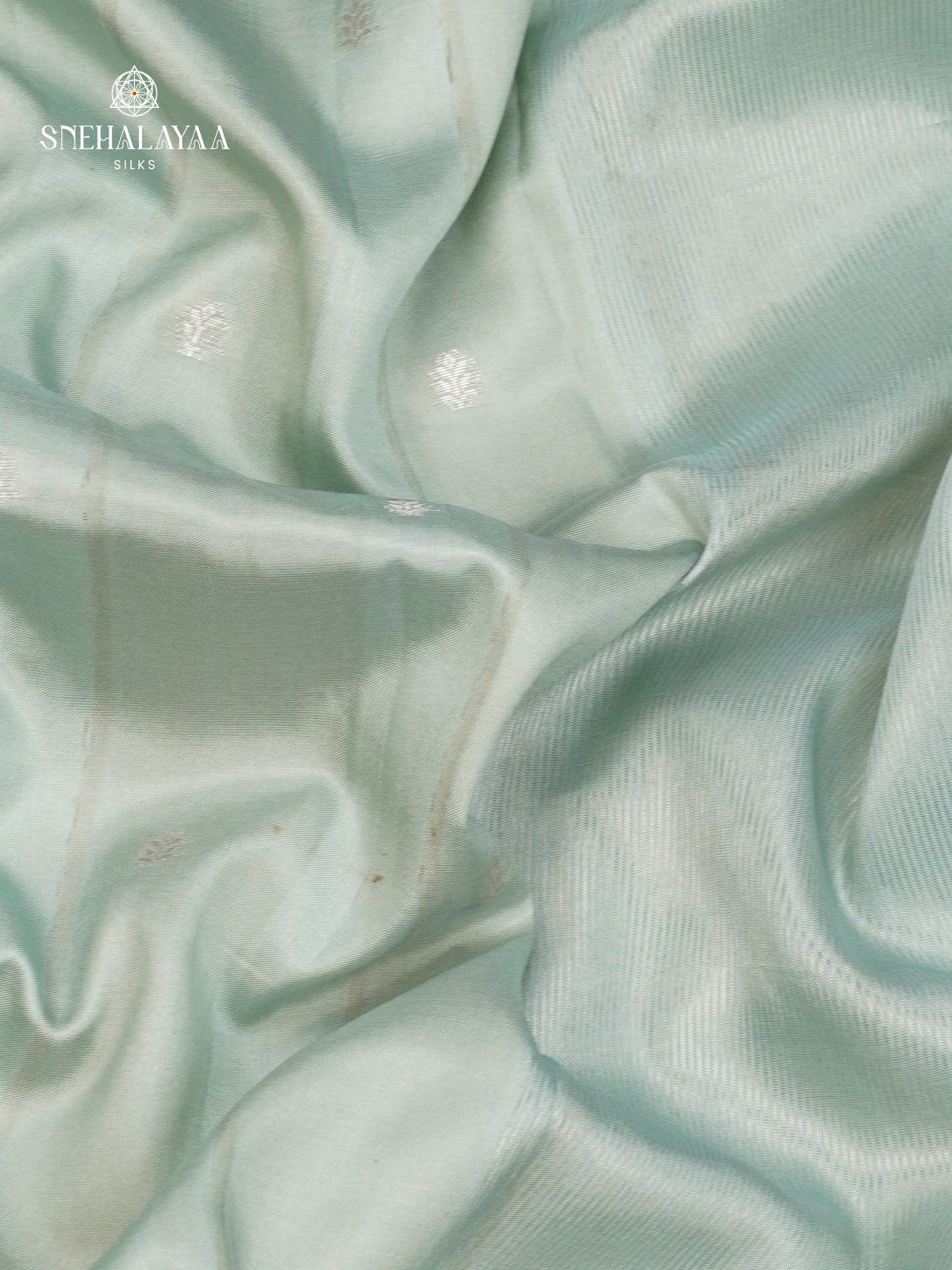 Pale Blue Banaras Dola Silk Saree