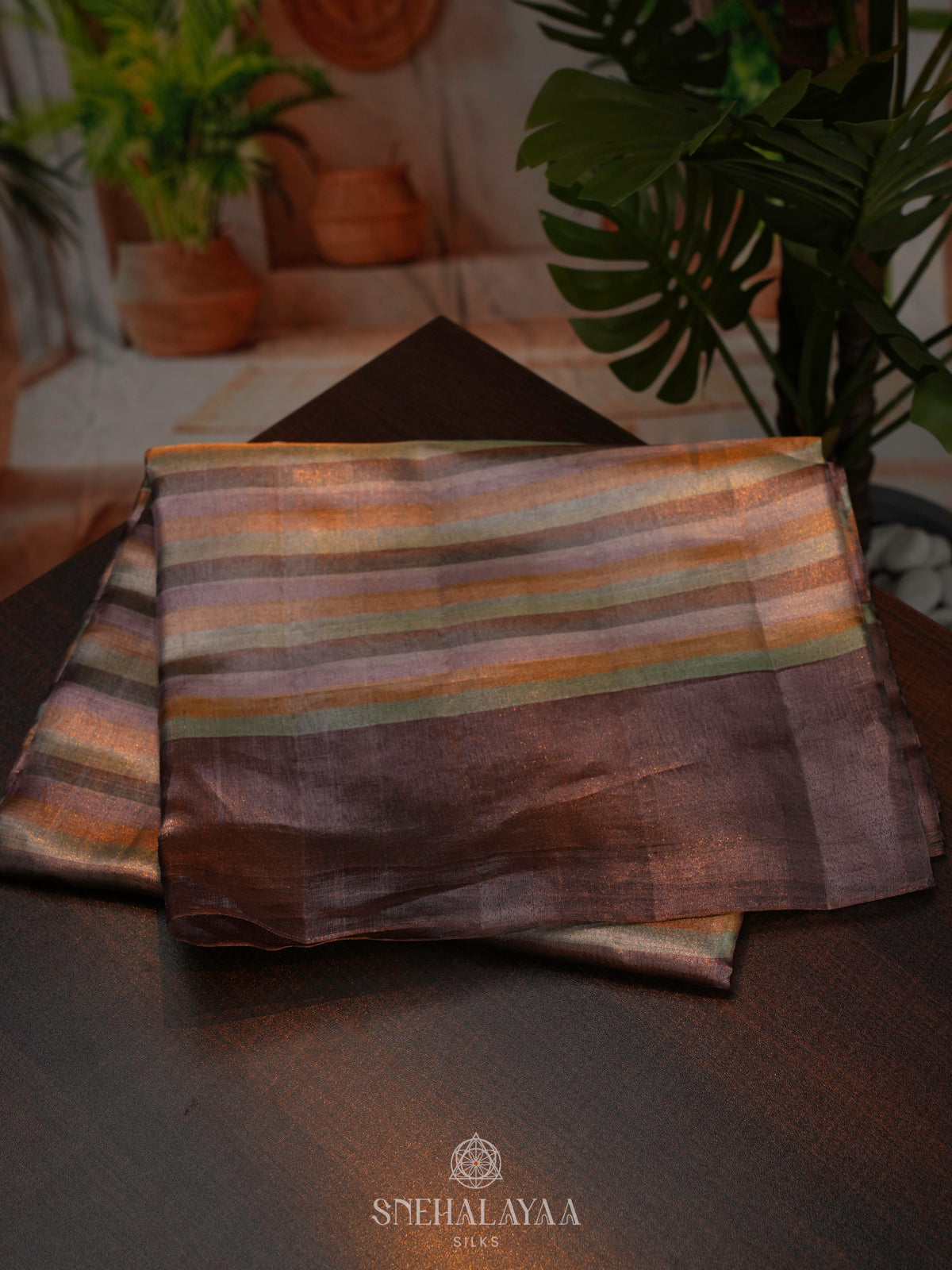 Multicolour Kanchi Kora Silk Saree