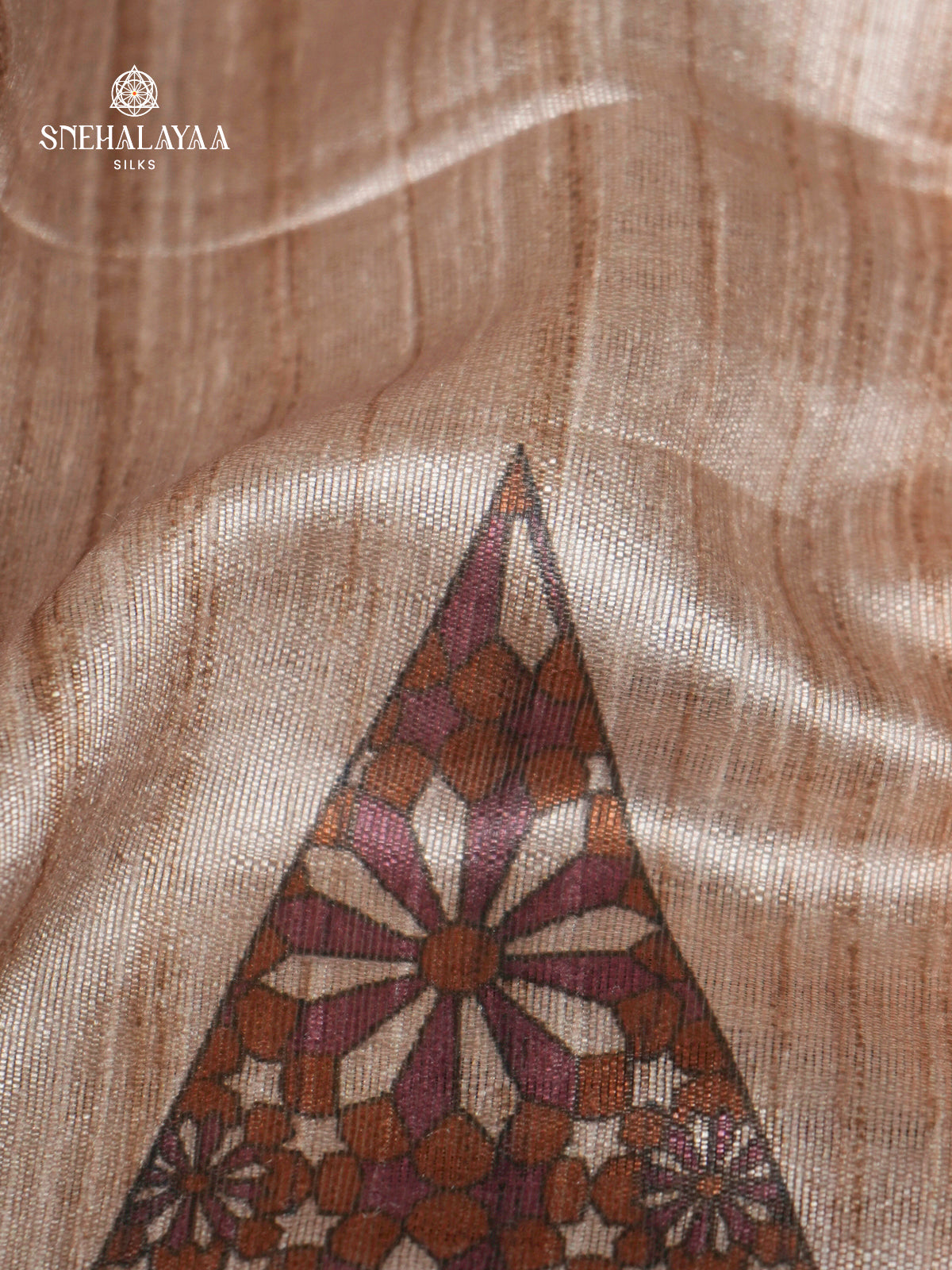 Beige With Brown Border Tussar Saree