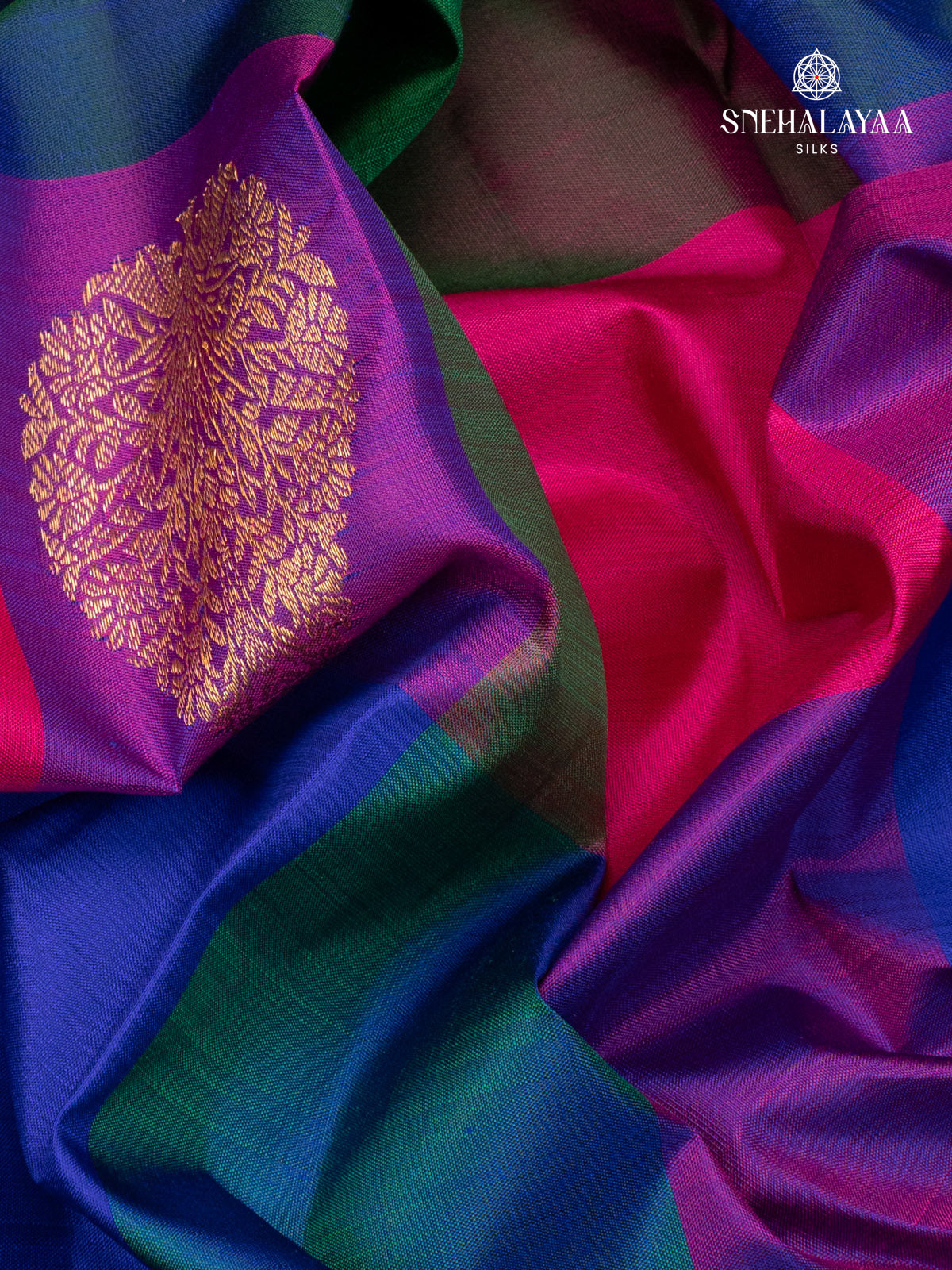 Multi Colour Kanjivaram Silk Saree