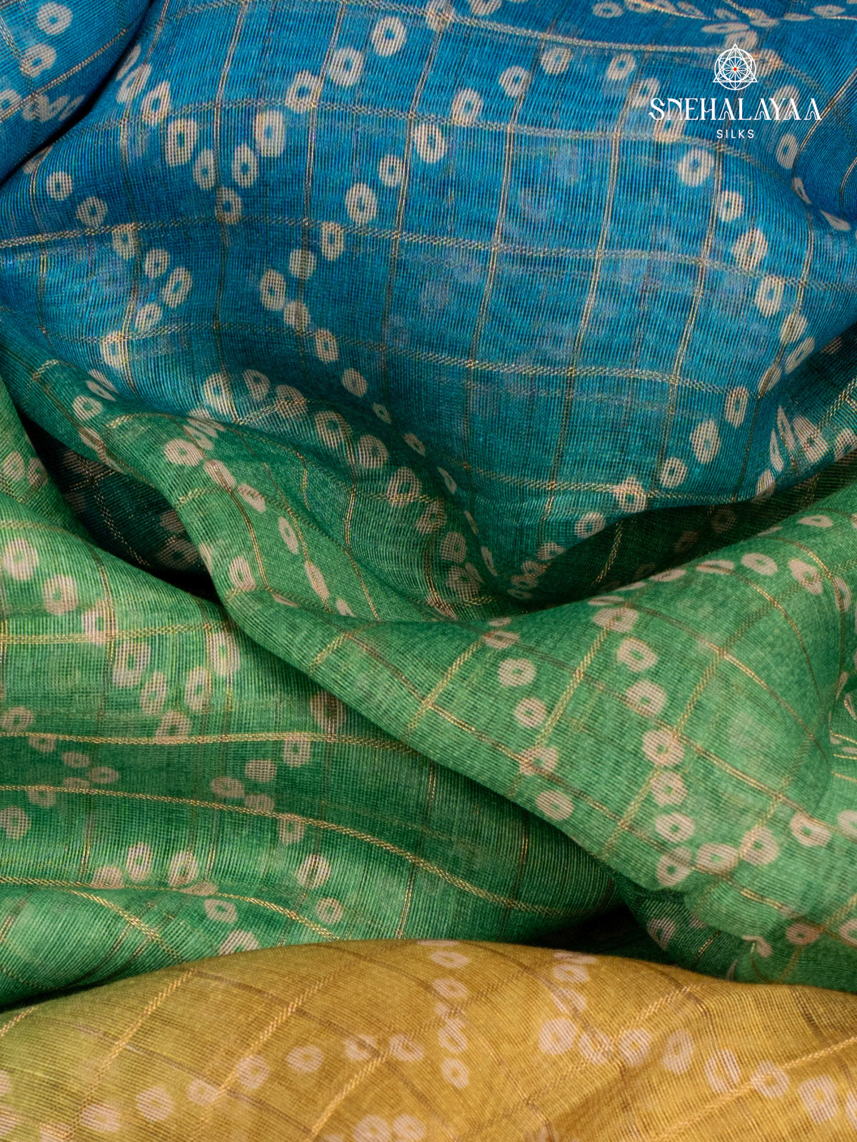 Multi Colour Madhubani Saree