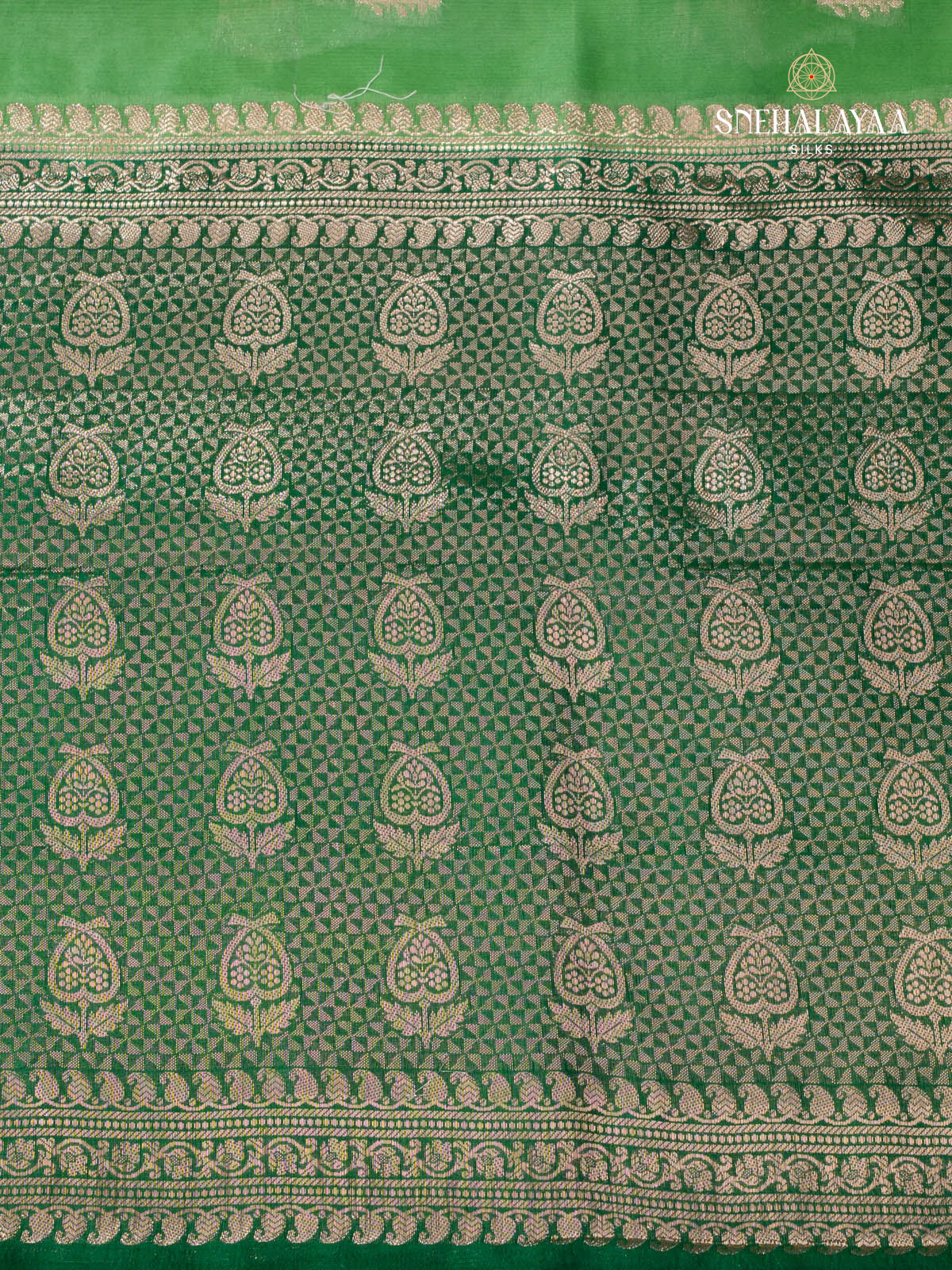 Green Banaras Dupion Saree