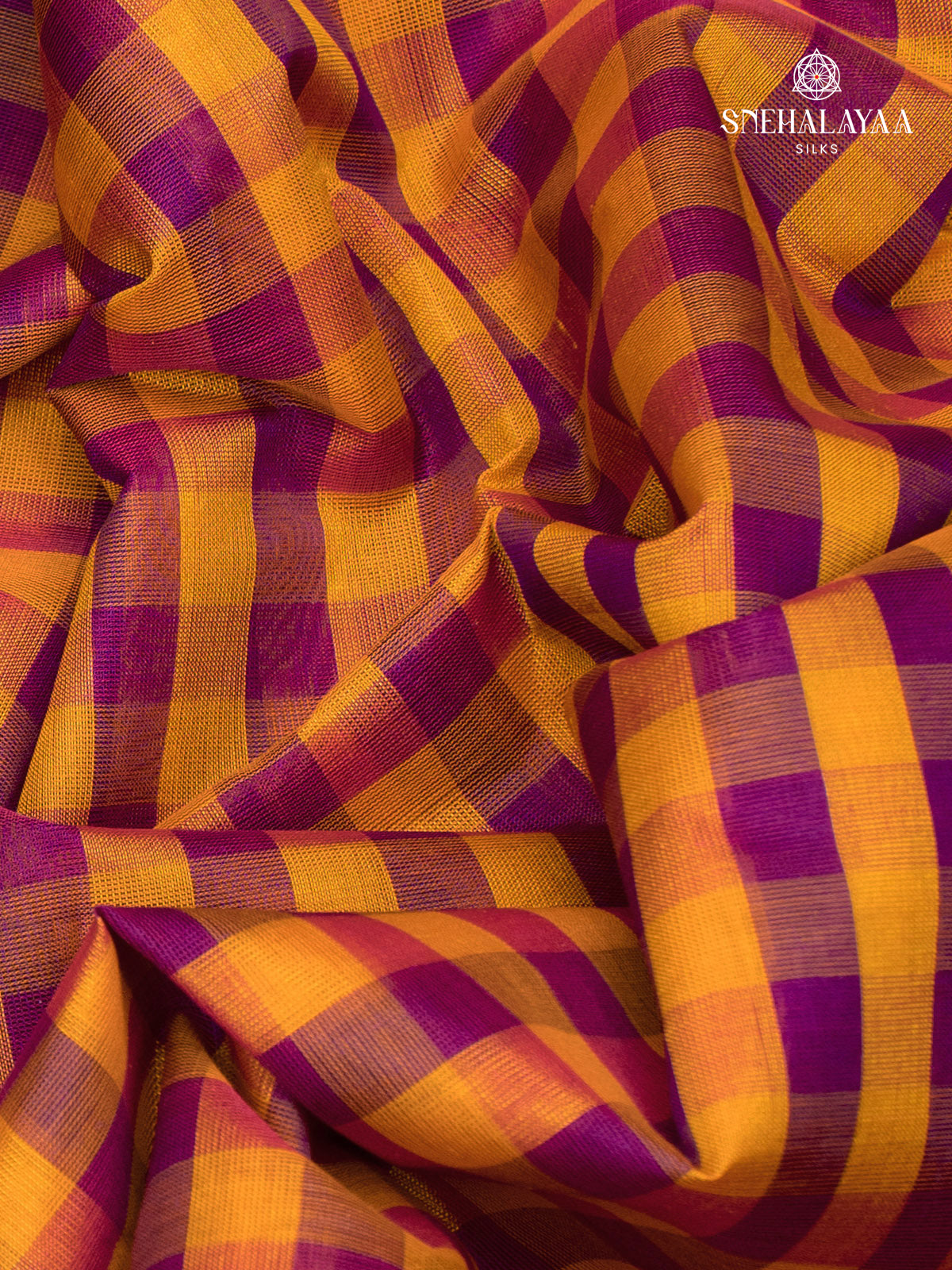 Paalum Pazhamum Kanchi silk Cotton Saree