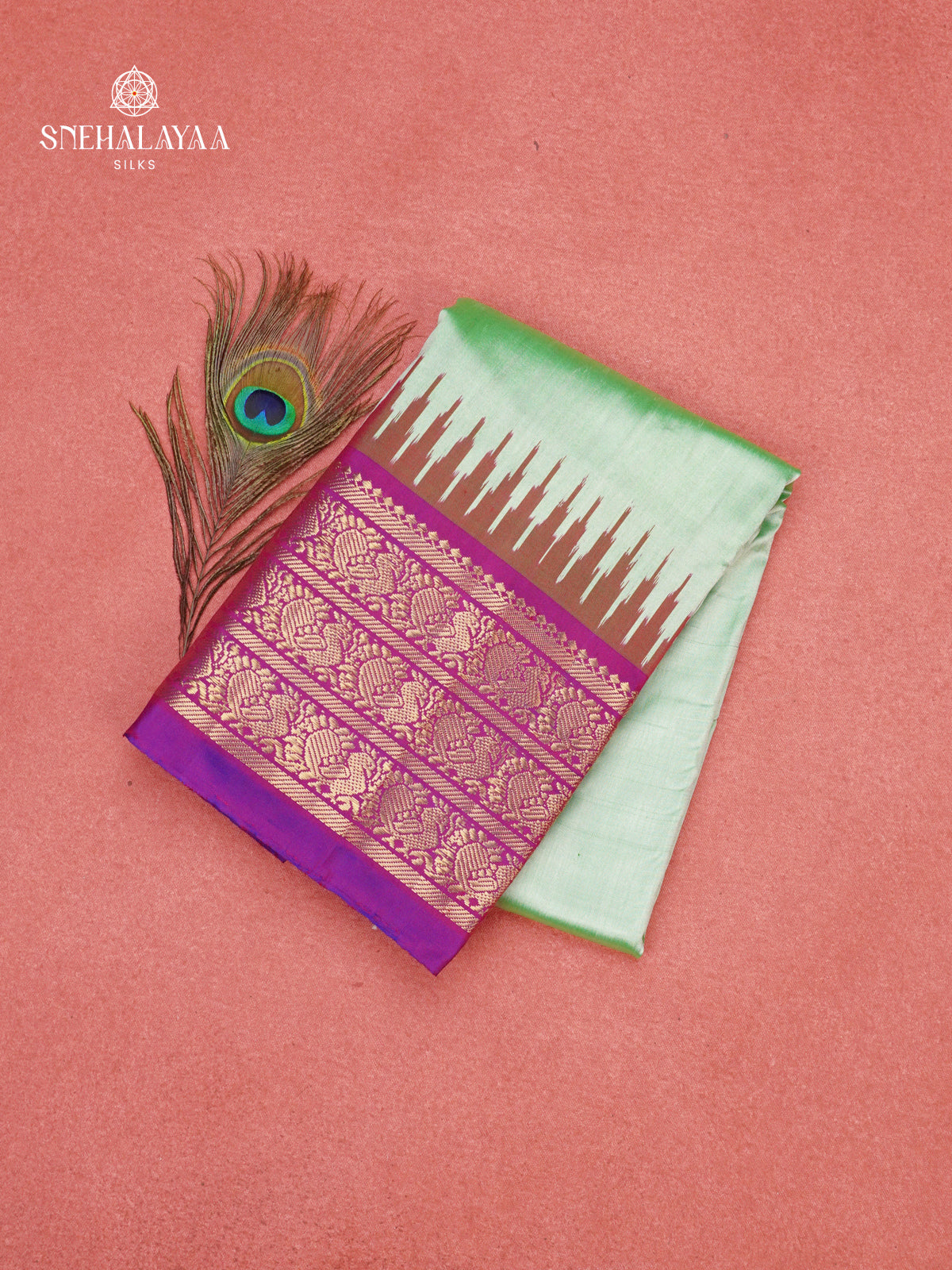 Pale Green Ikat Saree