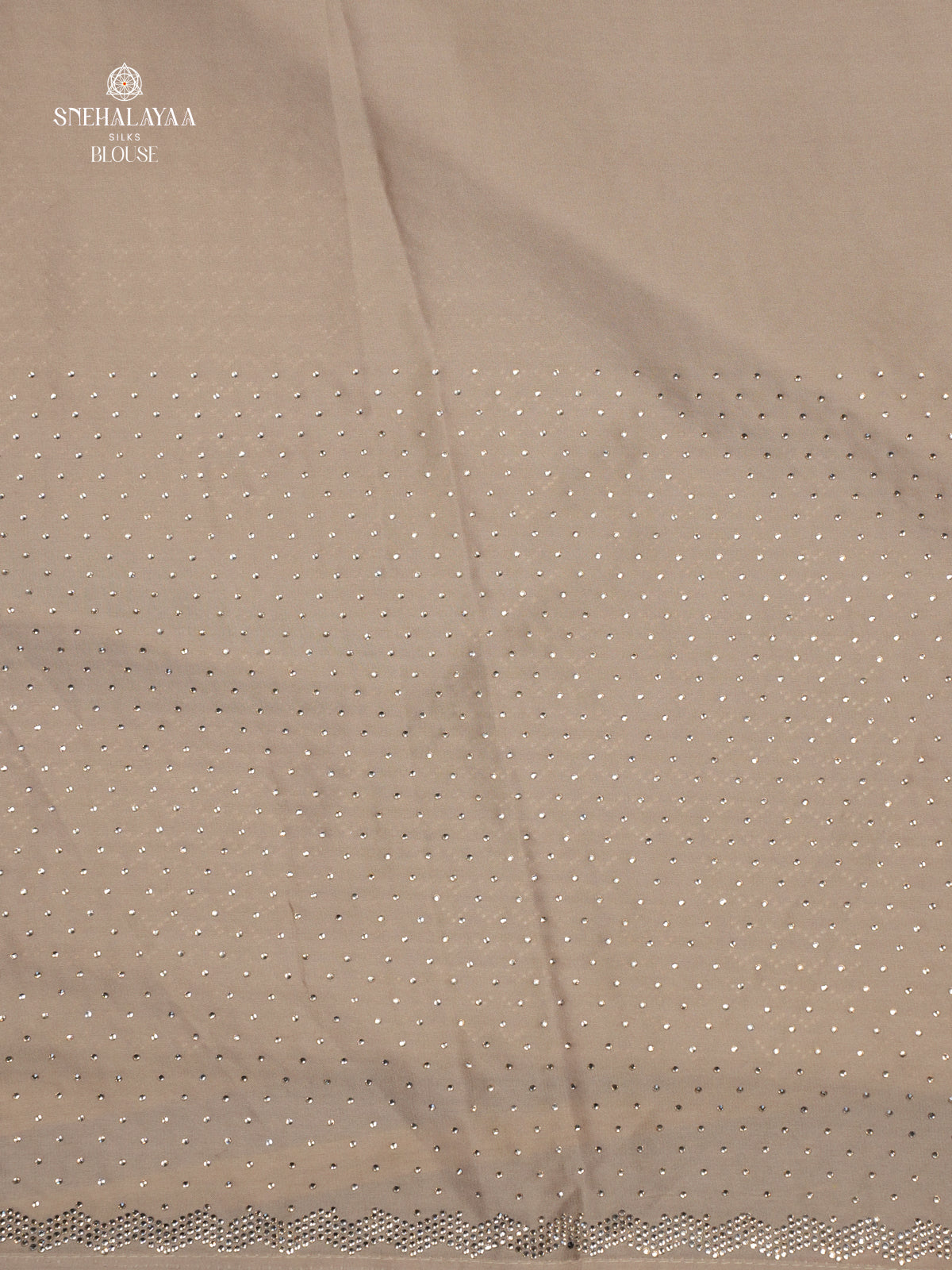 Beige Designer Saree