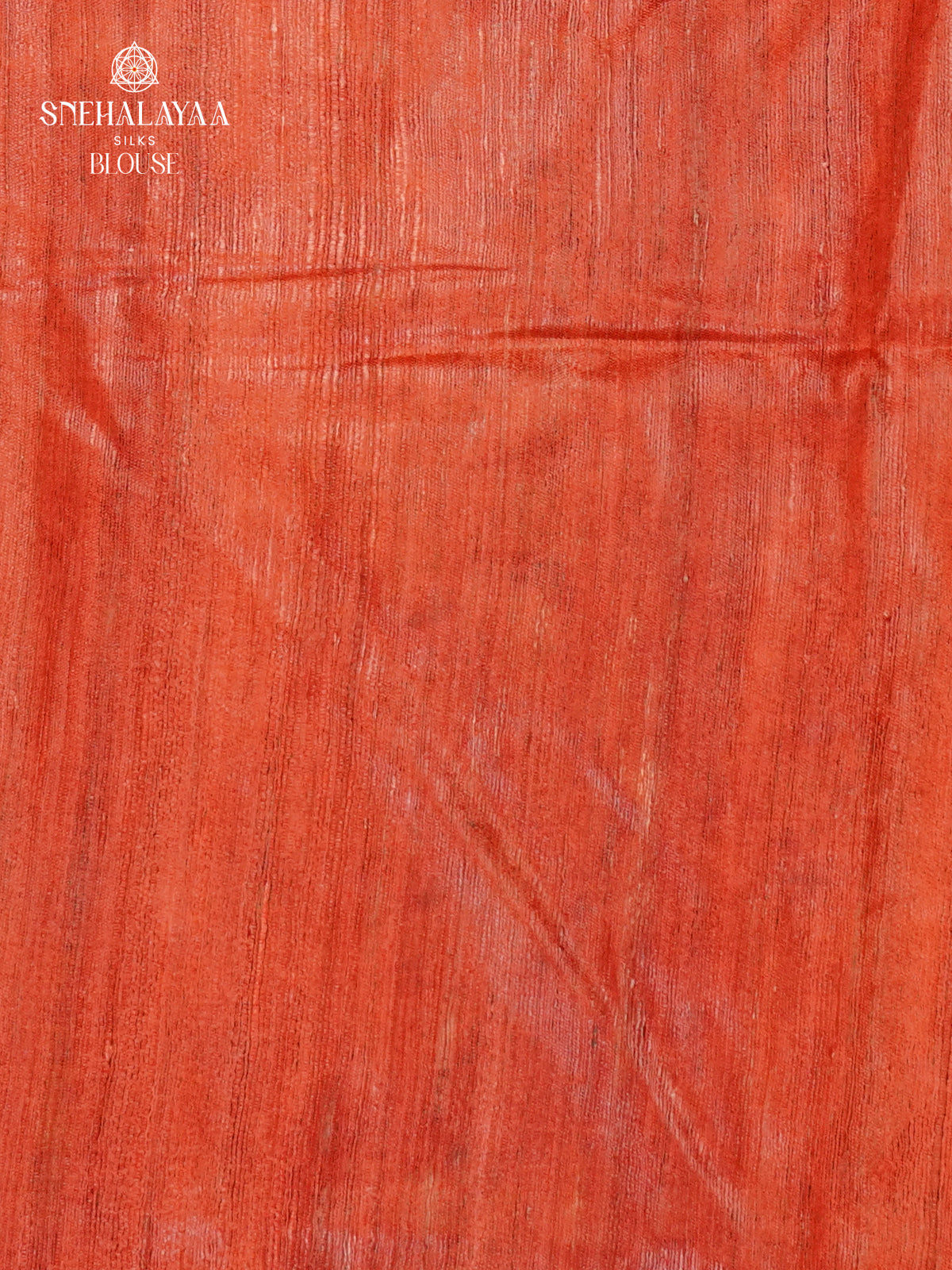 Cream Madhubani Printed Saree