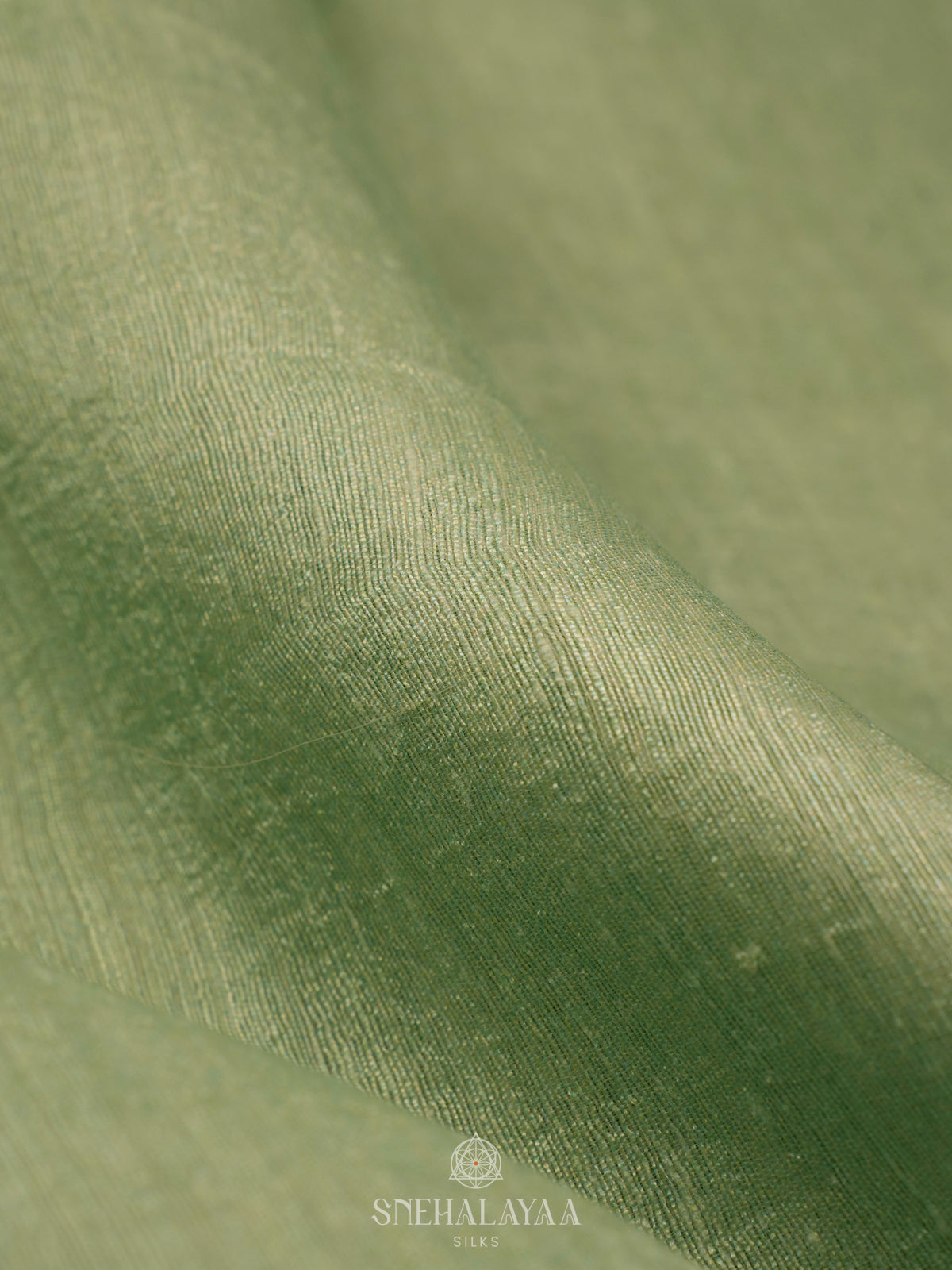 Pale Green Matka Jute Saree