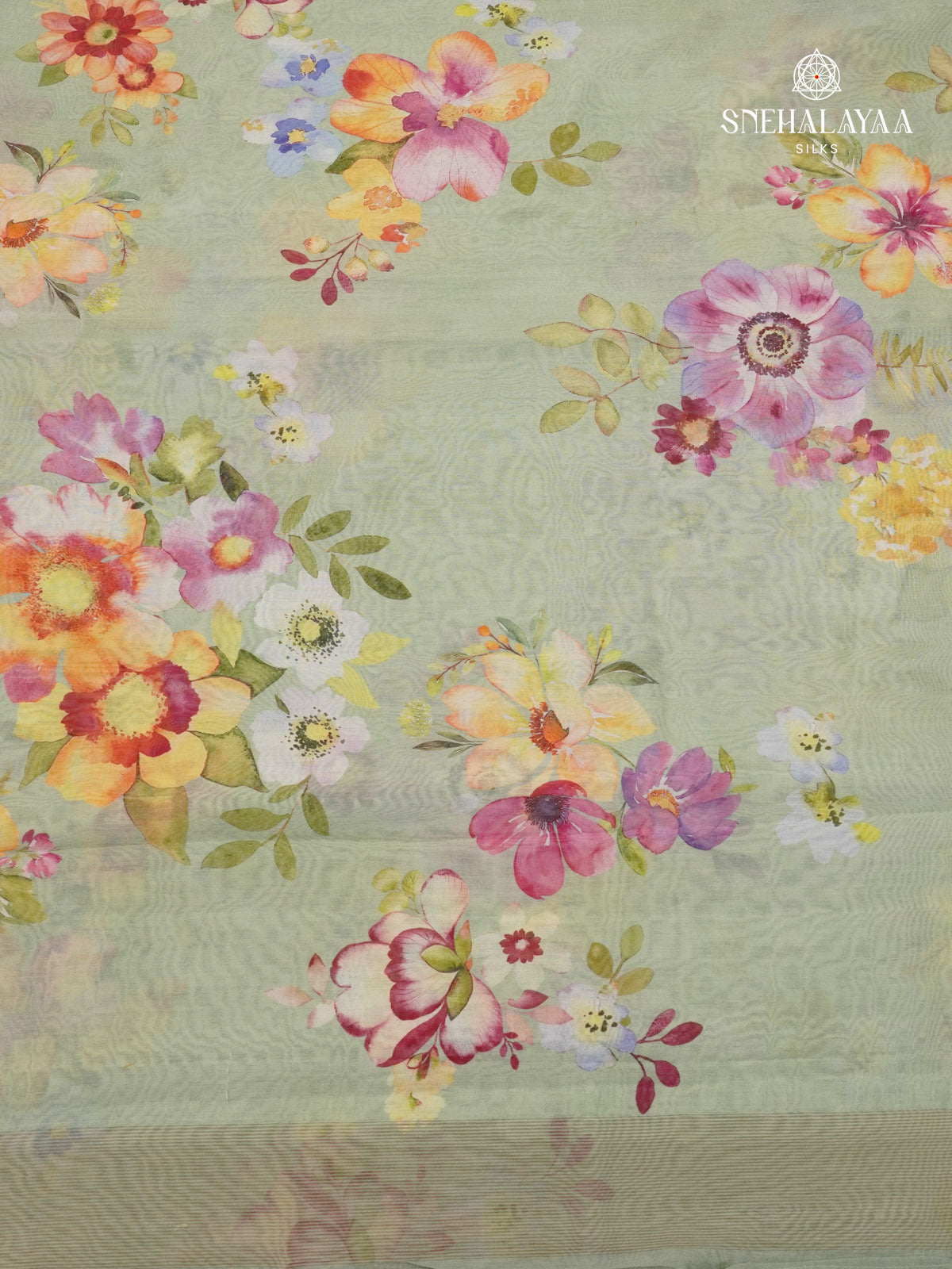 Sage Green Chanderi Saree