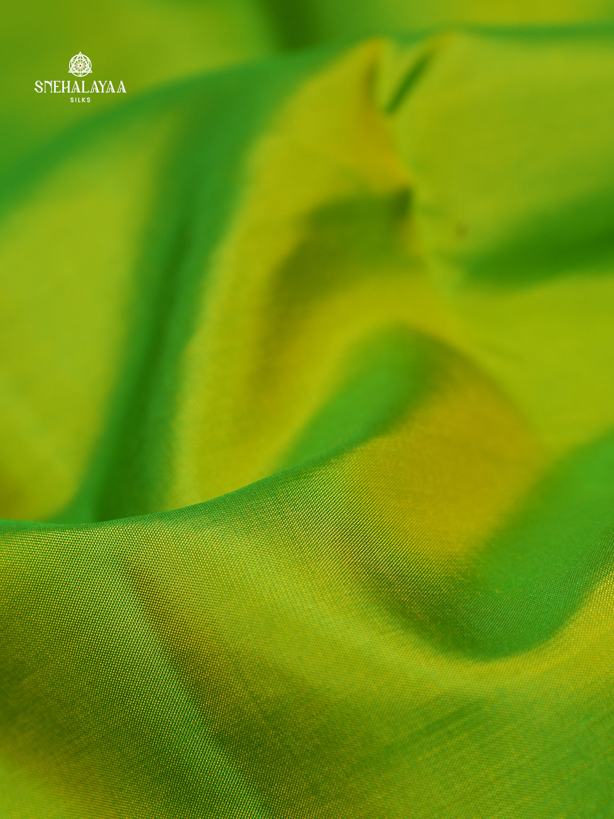 Parrot Green Kanjivaram Silk Saree