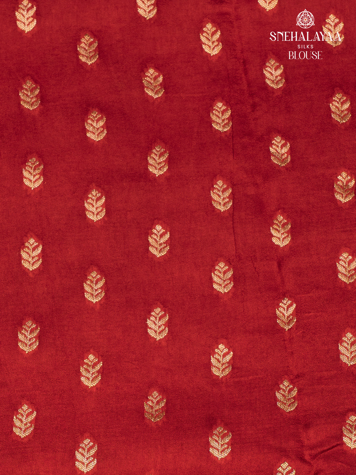 Rust Orange Dola Silk Saree
