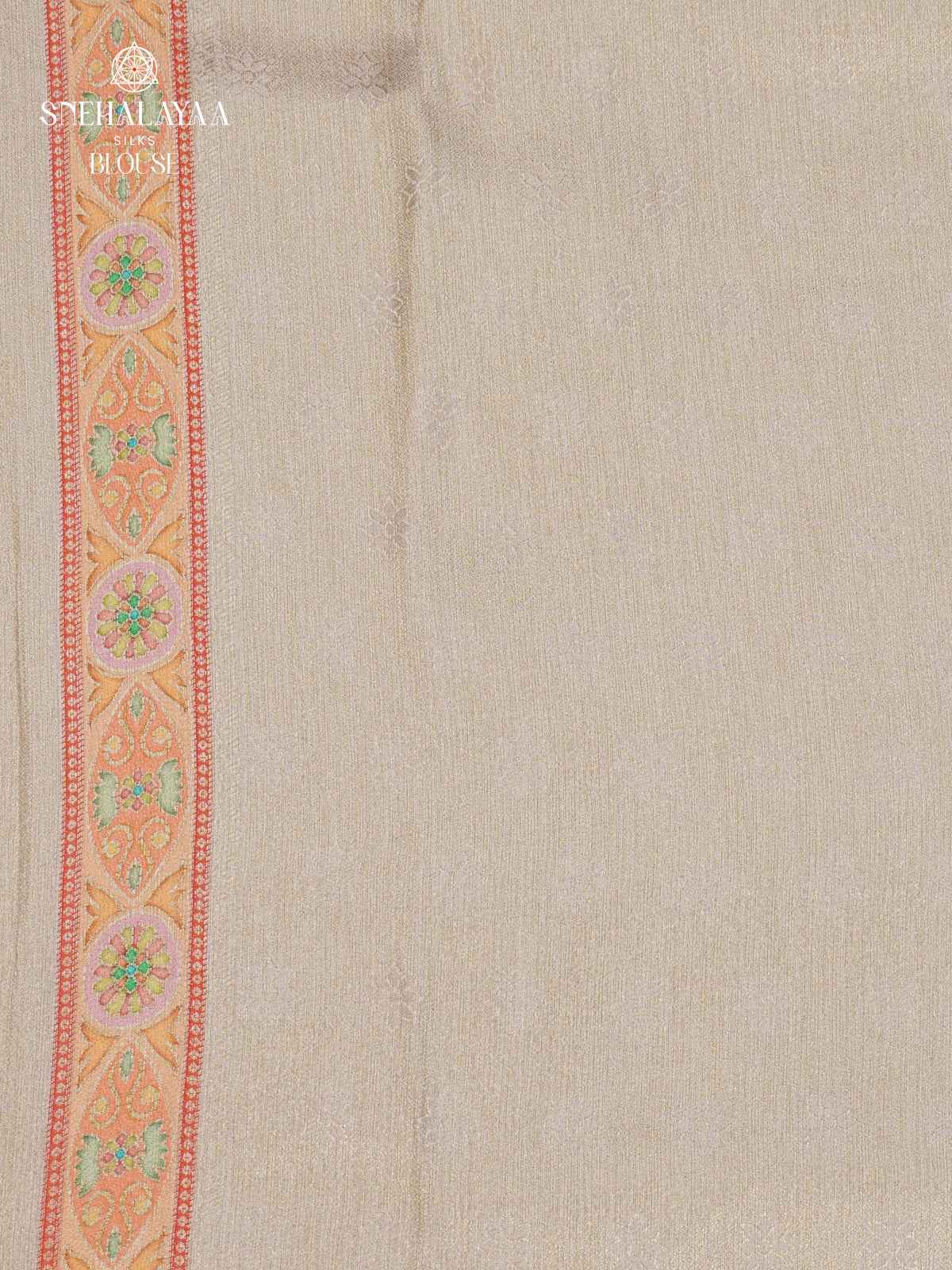 Beige Tissue Tussar Saree