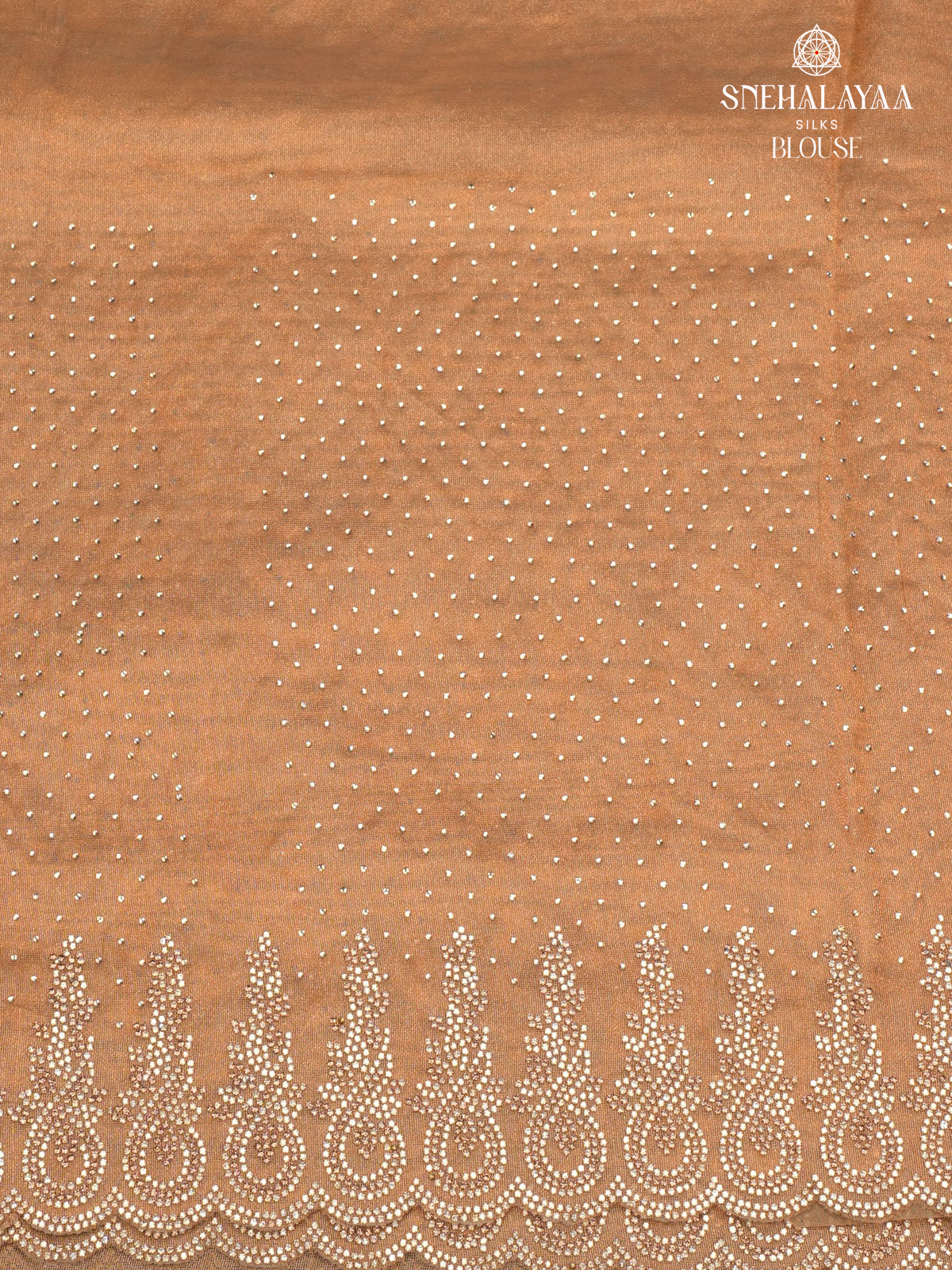 Beige Designer Saree