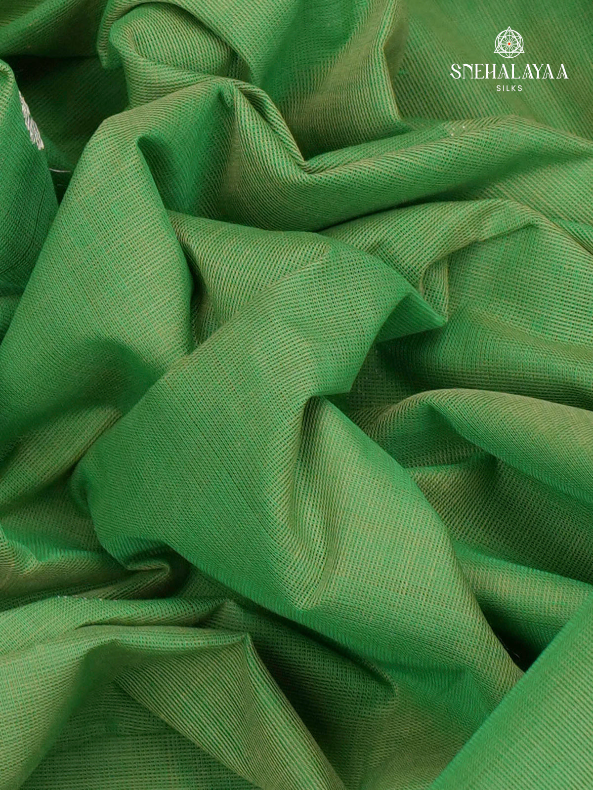 Green Venkatagiri Cotton Saree