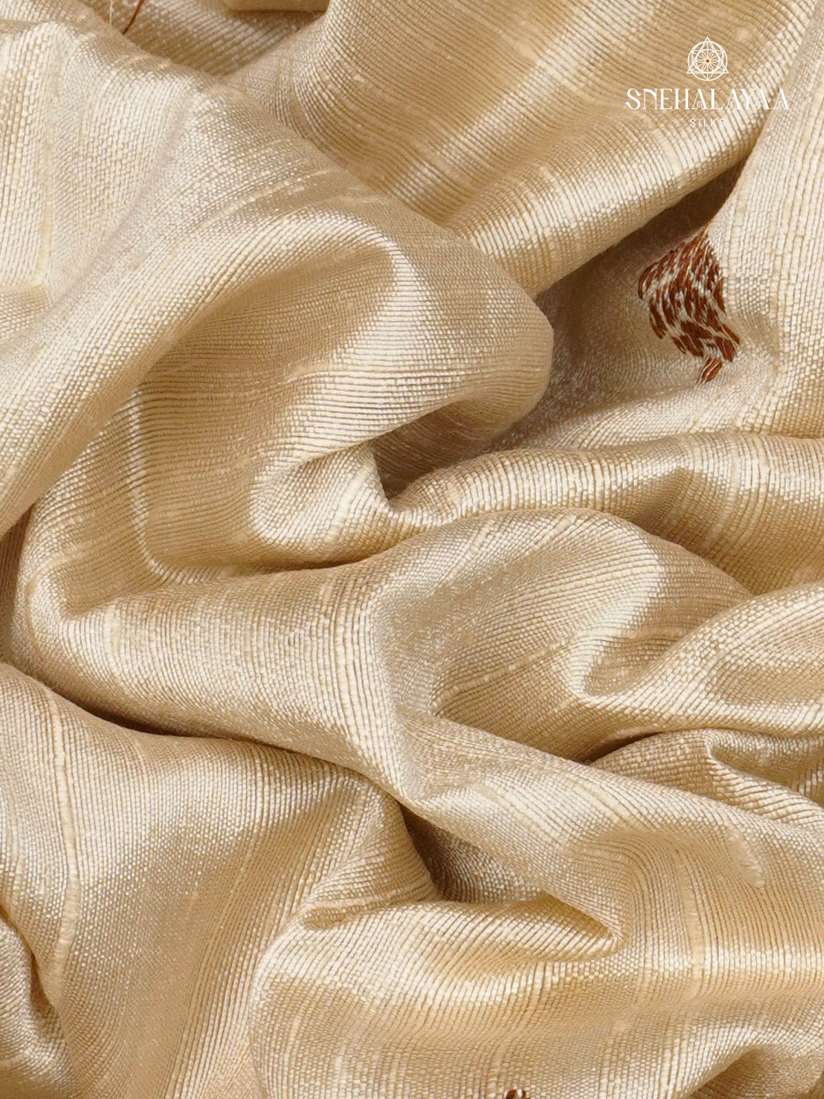 Cream Banaras Raw Silk Saree