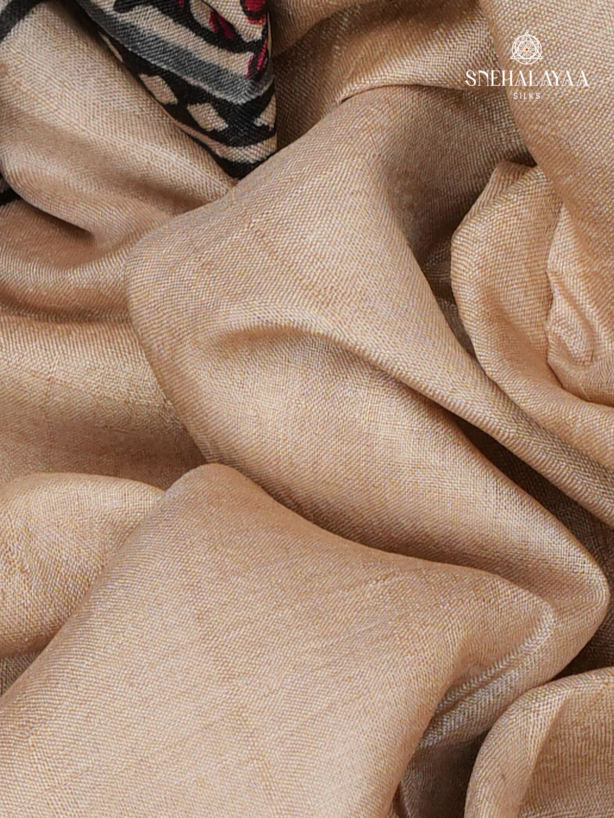 Beige Tussar Silk Saree