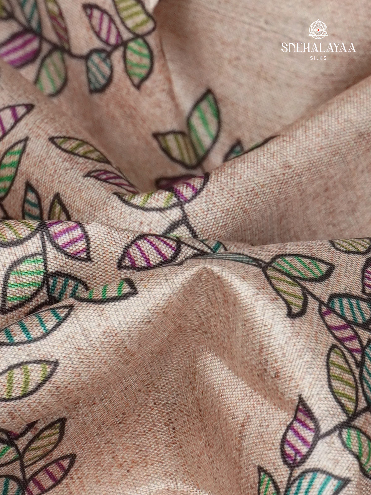 Beige With Black Border Madhubani Saree