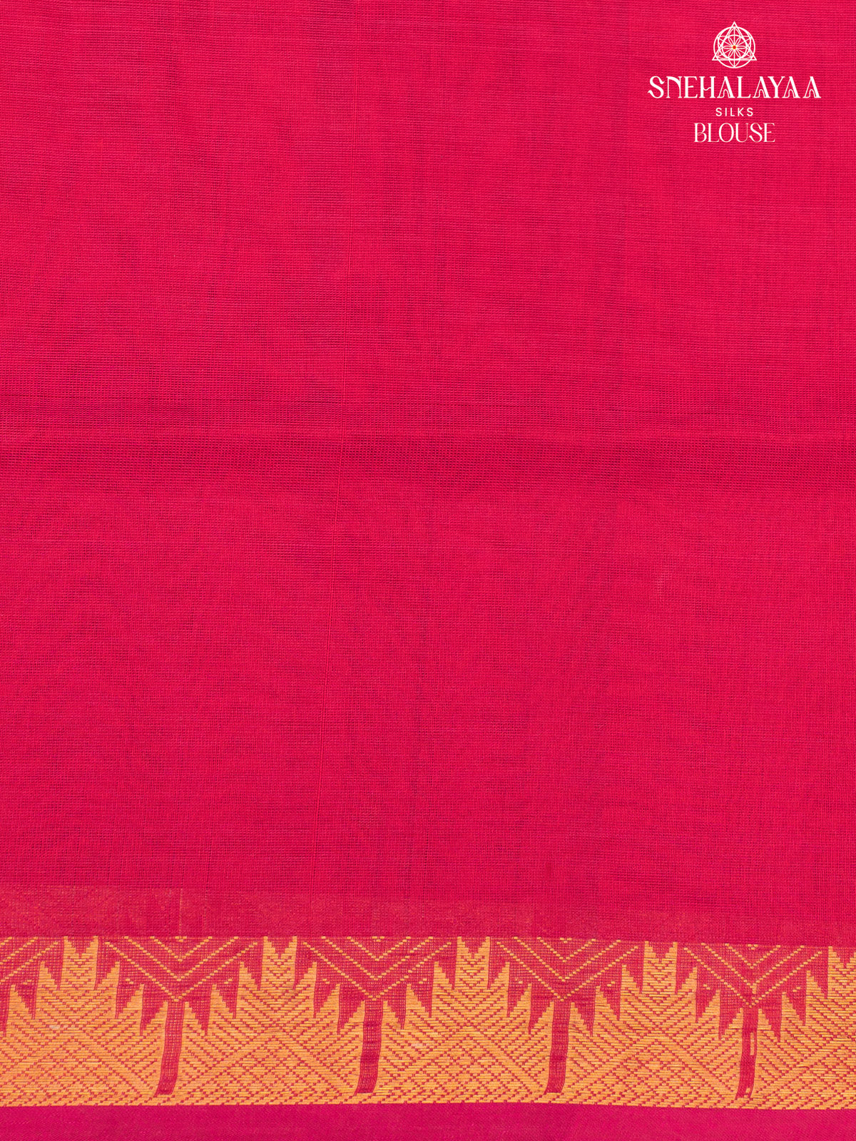 Paalum Pazhamum Kanchi silk Cotton Saree