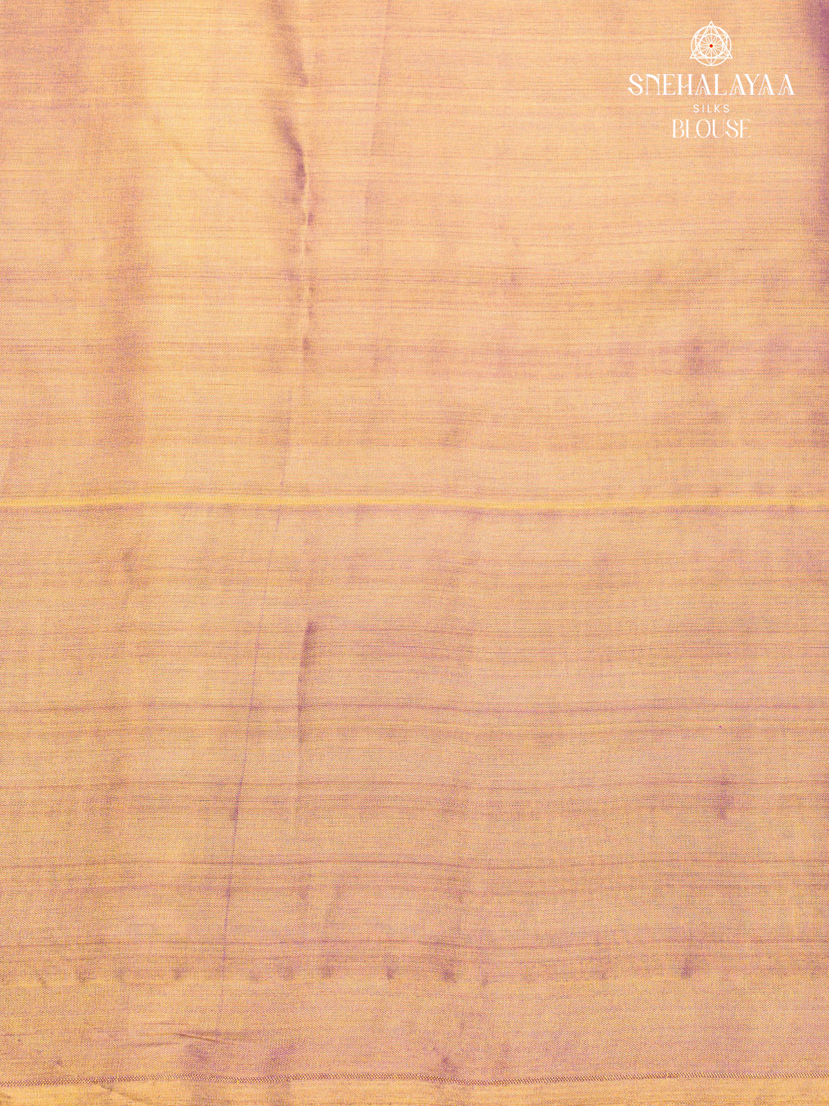 Pale Green Kanjivaram Silk Saree