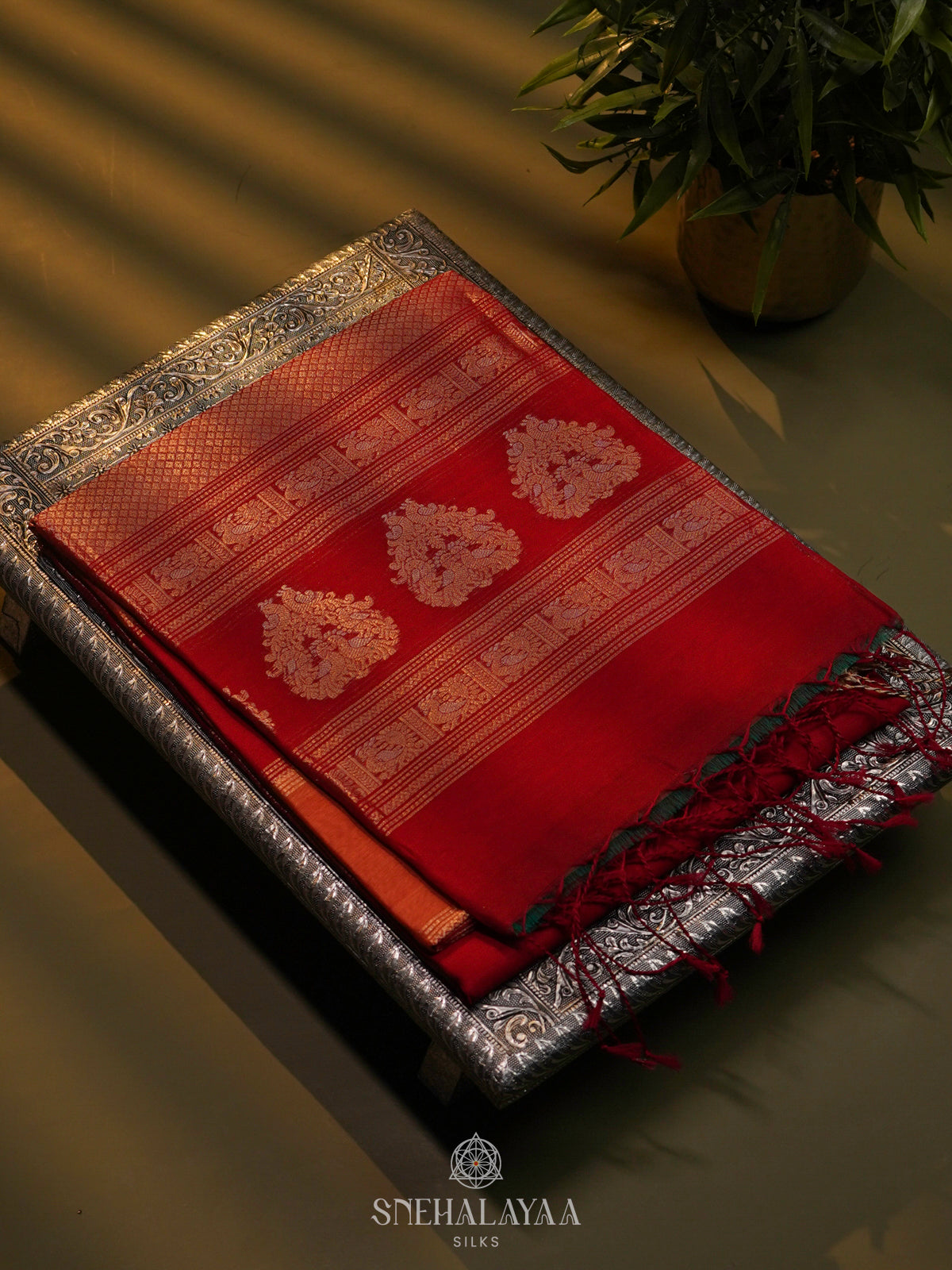 Red Kora Silk Cotton Saree