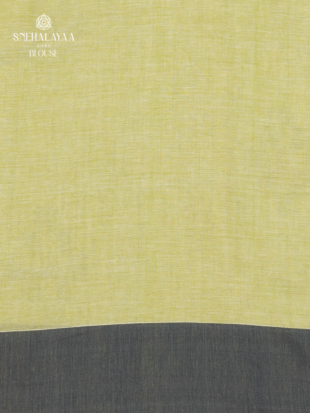 Pista Green Sambalpuri Cotton Saree