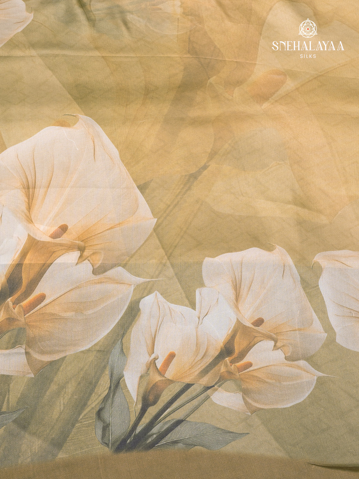 Olive Green Dola Silk Saree