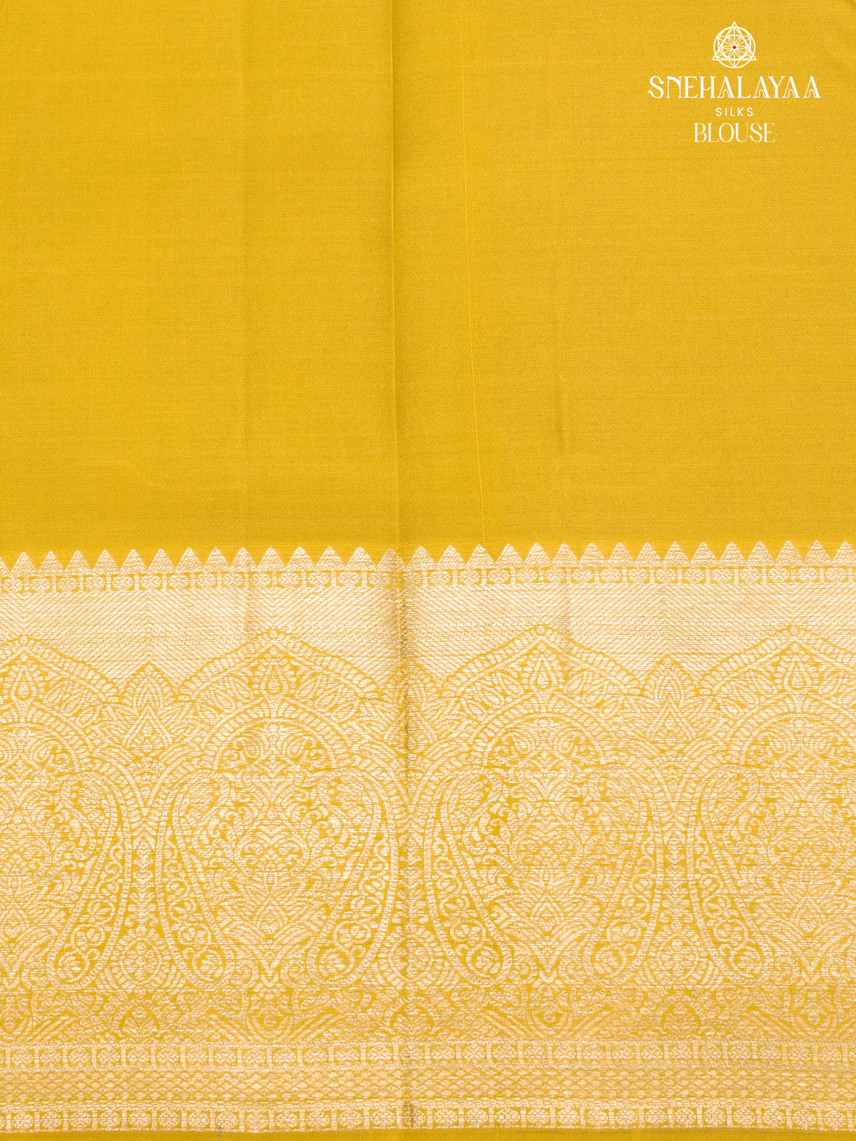 Aqua Blue Kanjivaram Silk Saree