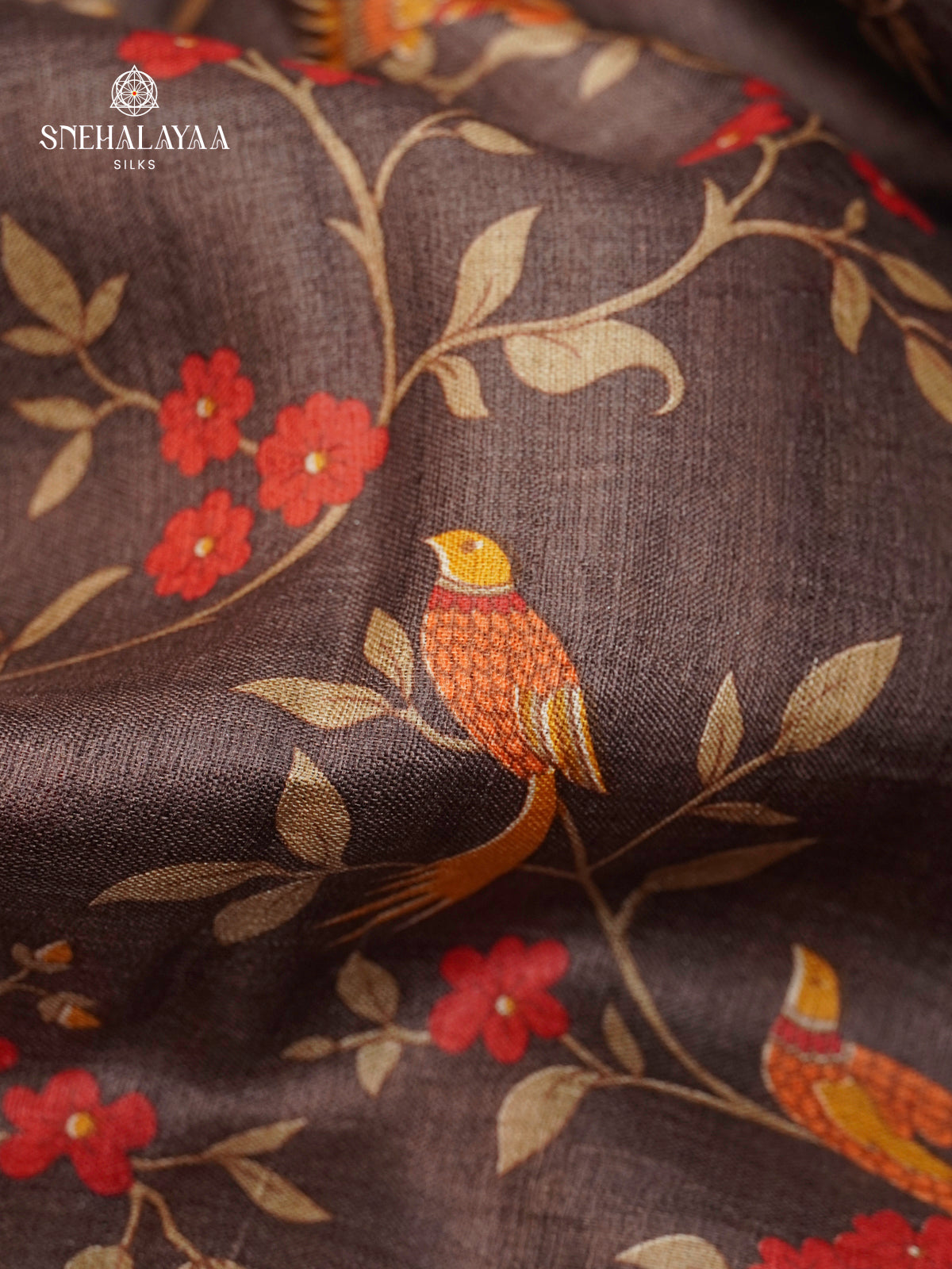 Brown Tussar Saree