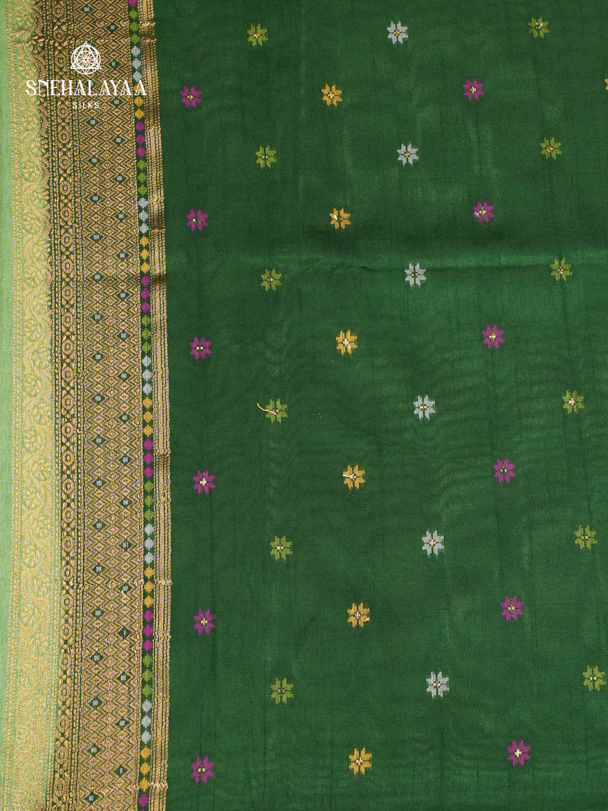 Pista Ikat Saree