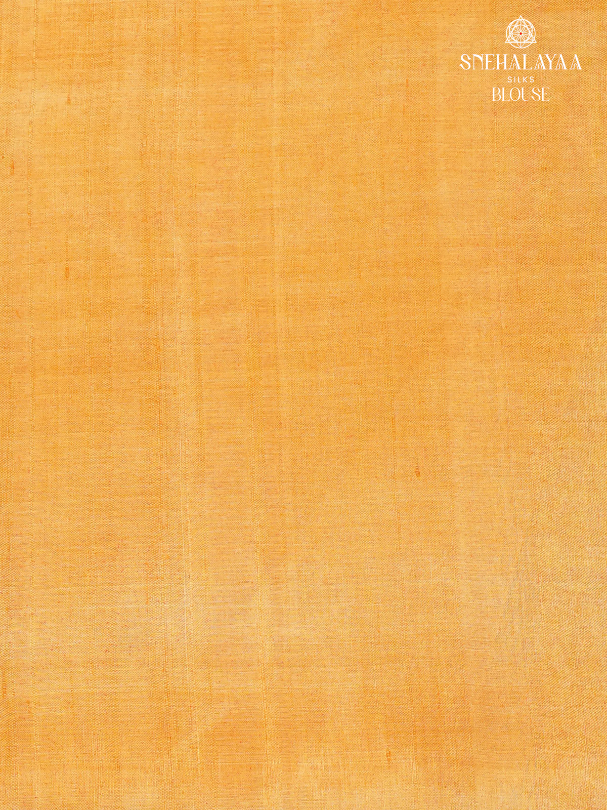 Multicolour Tussar Silk Saree