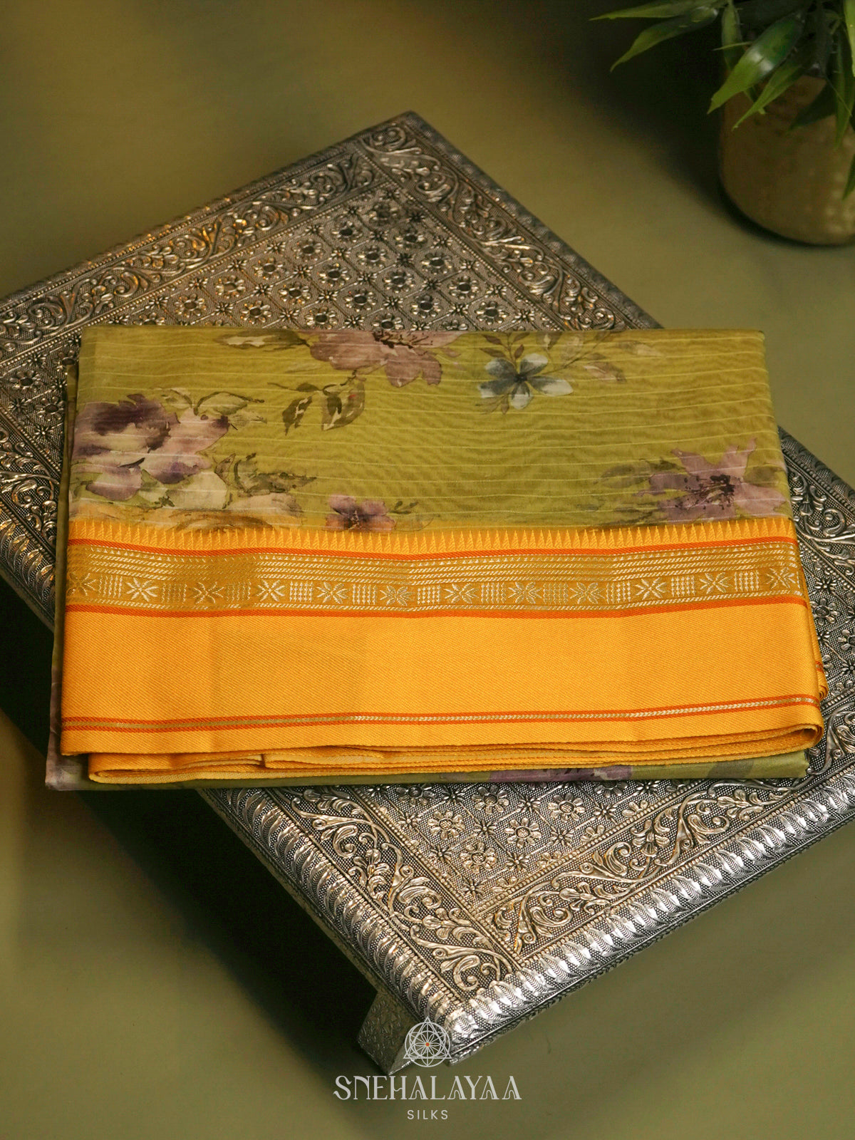 Pale Green Chanderi Saree