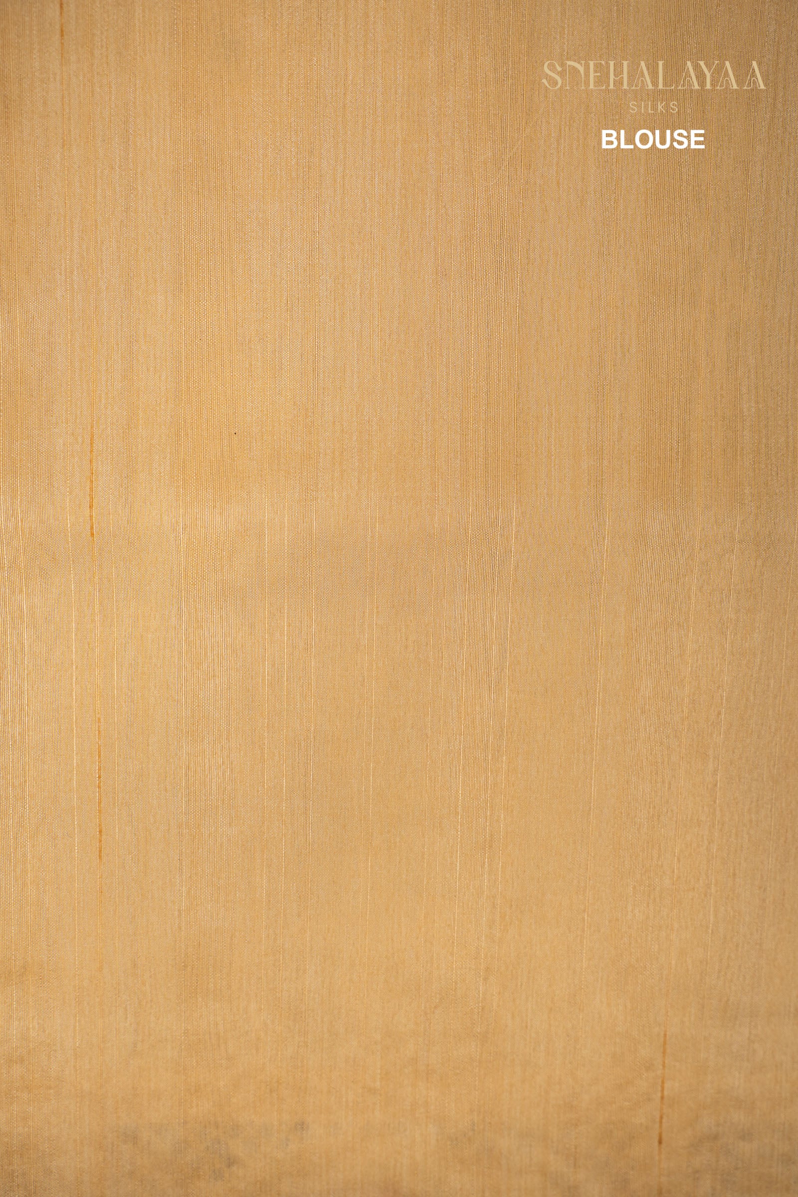 Beige Raw Silk Saree