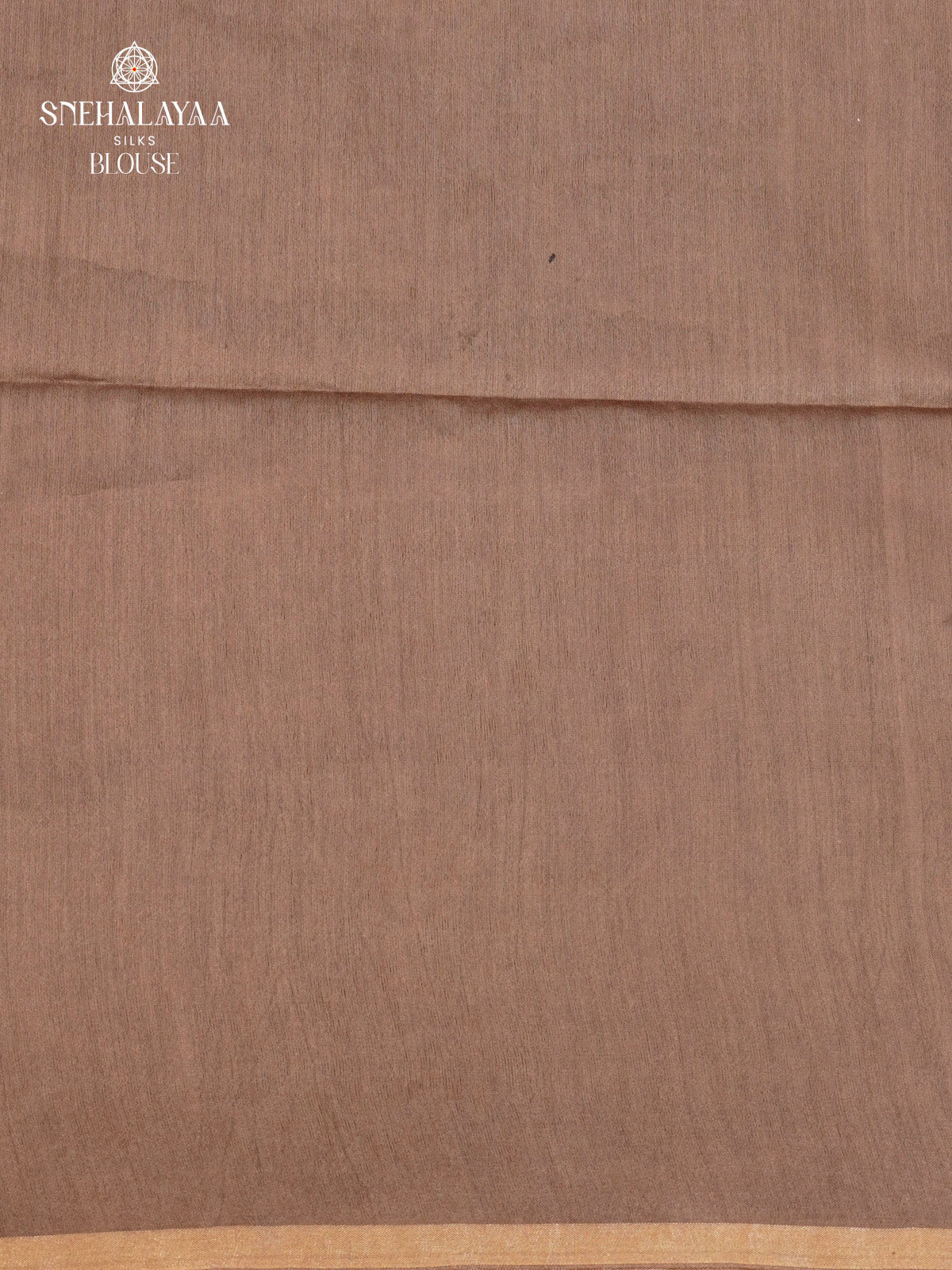 Brown Tussar Saree