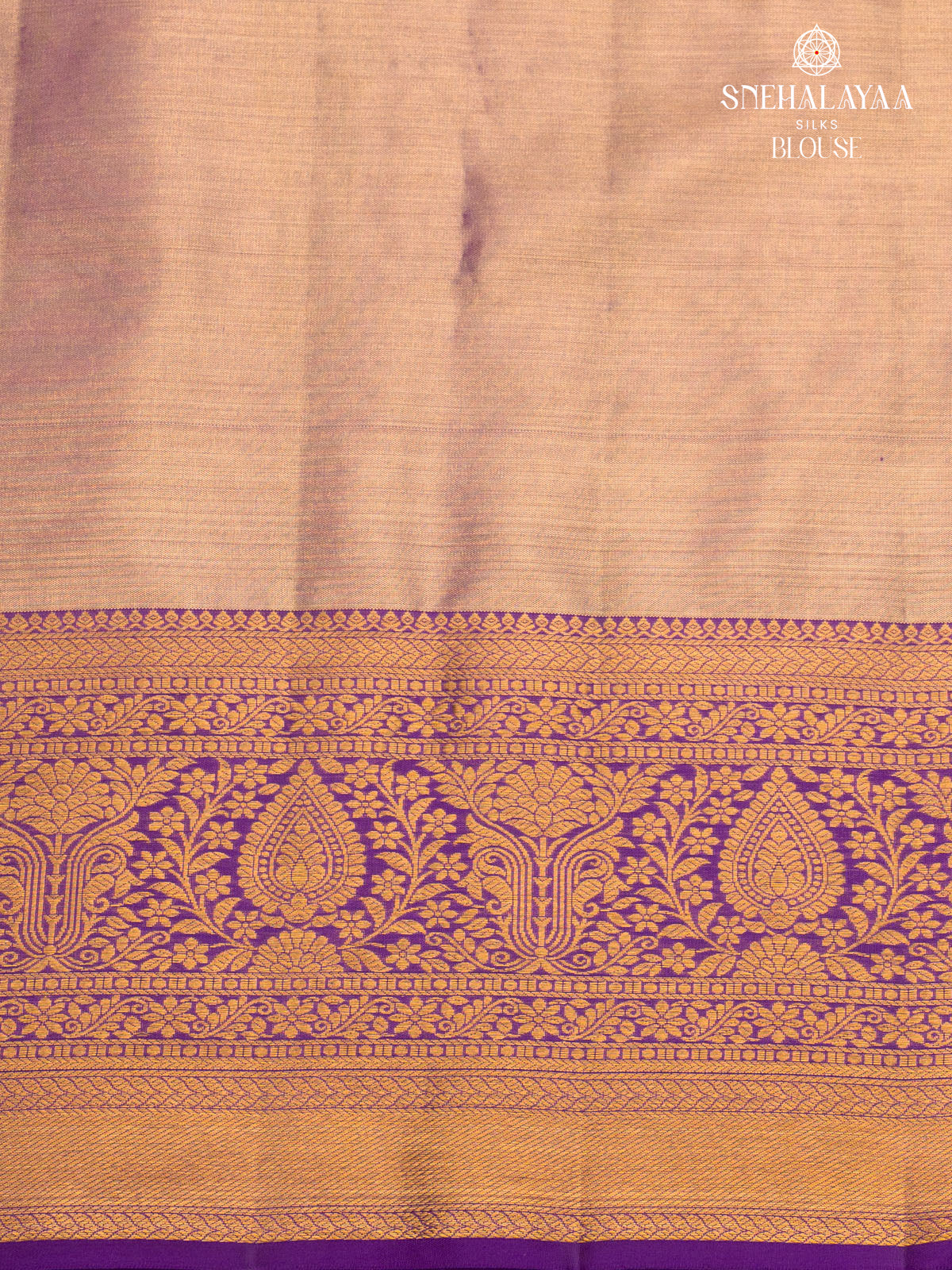 Pale Green Kanjivaram Silk Saree