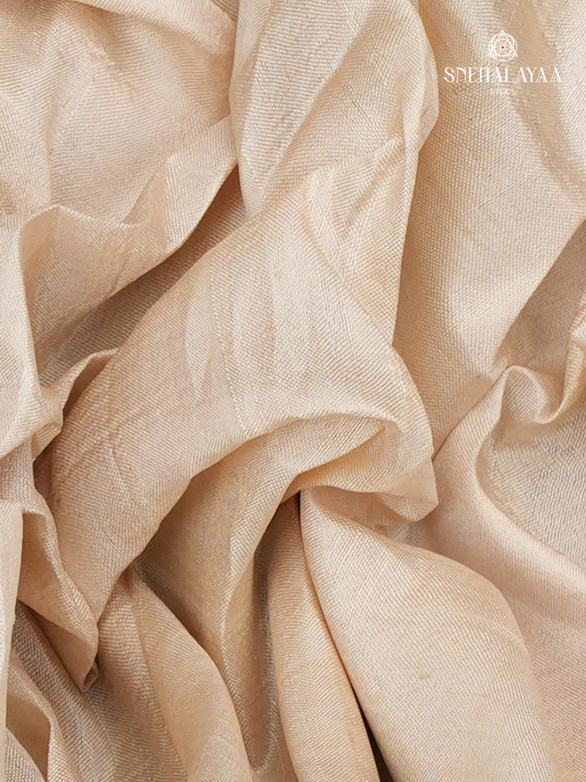 Beige Tussar Silk Saree