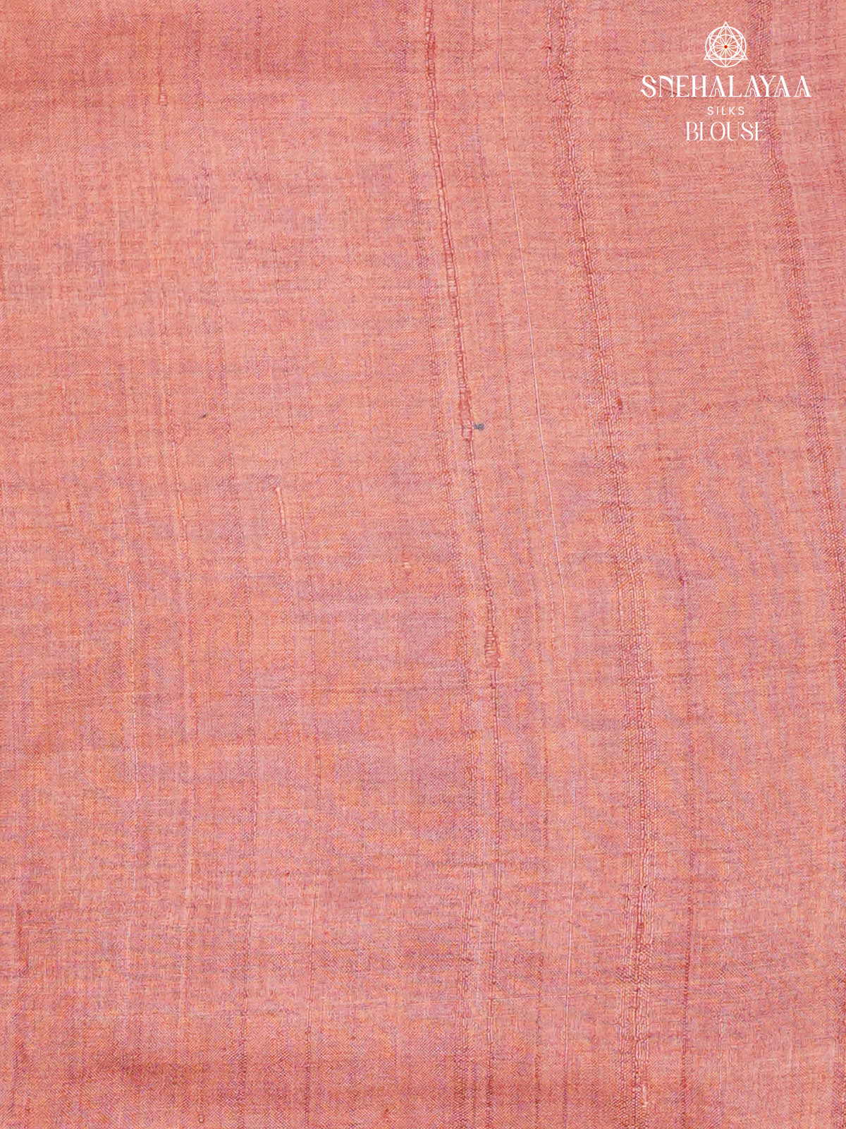 Beige Tussar Silk Saree