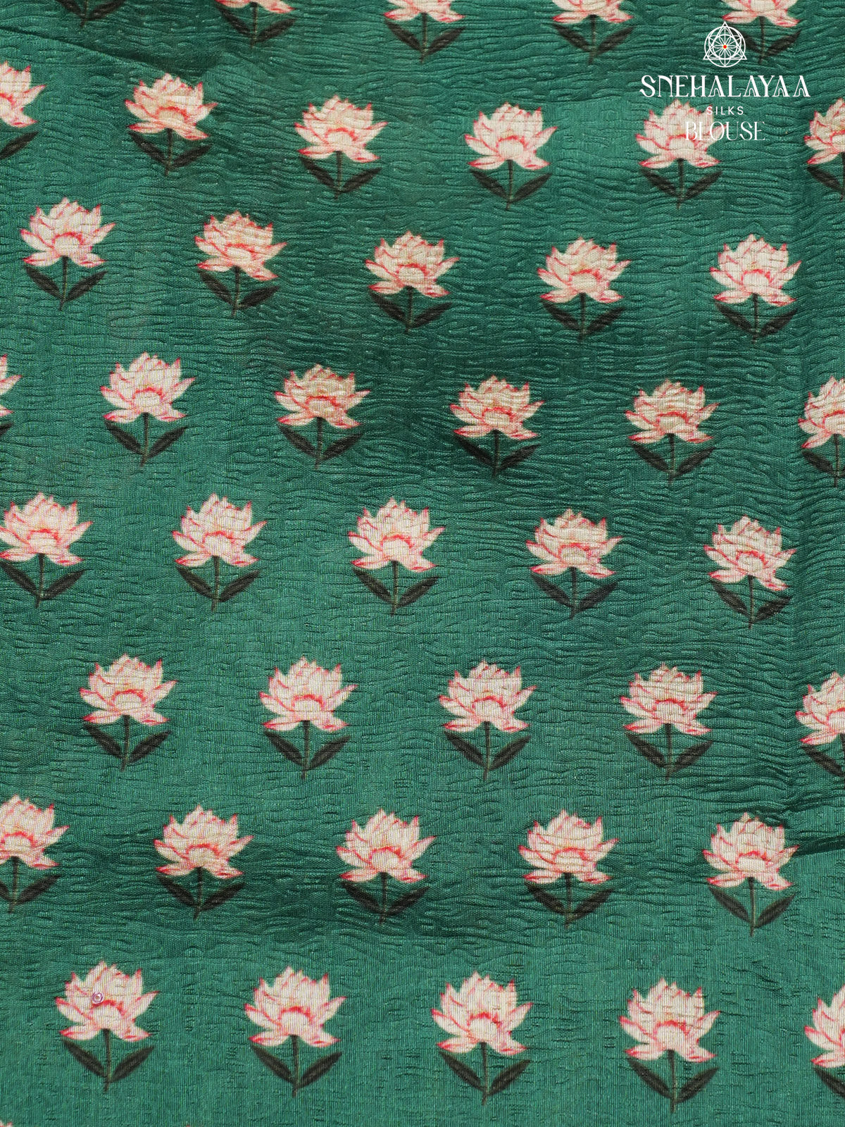 Green Crush Embroidery Saree