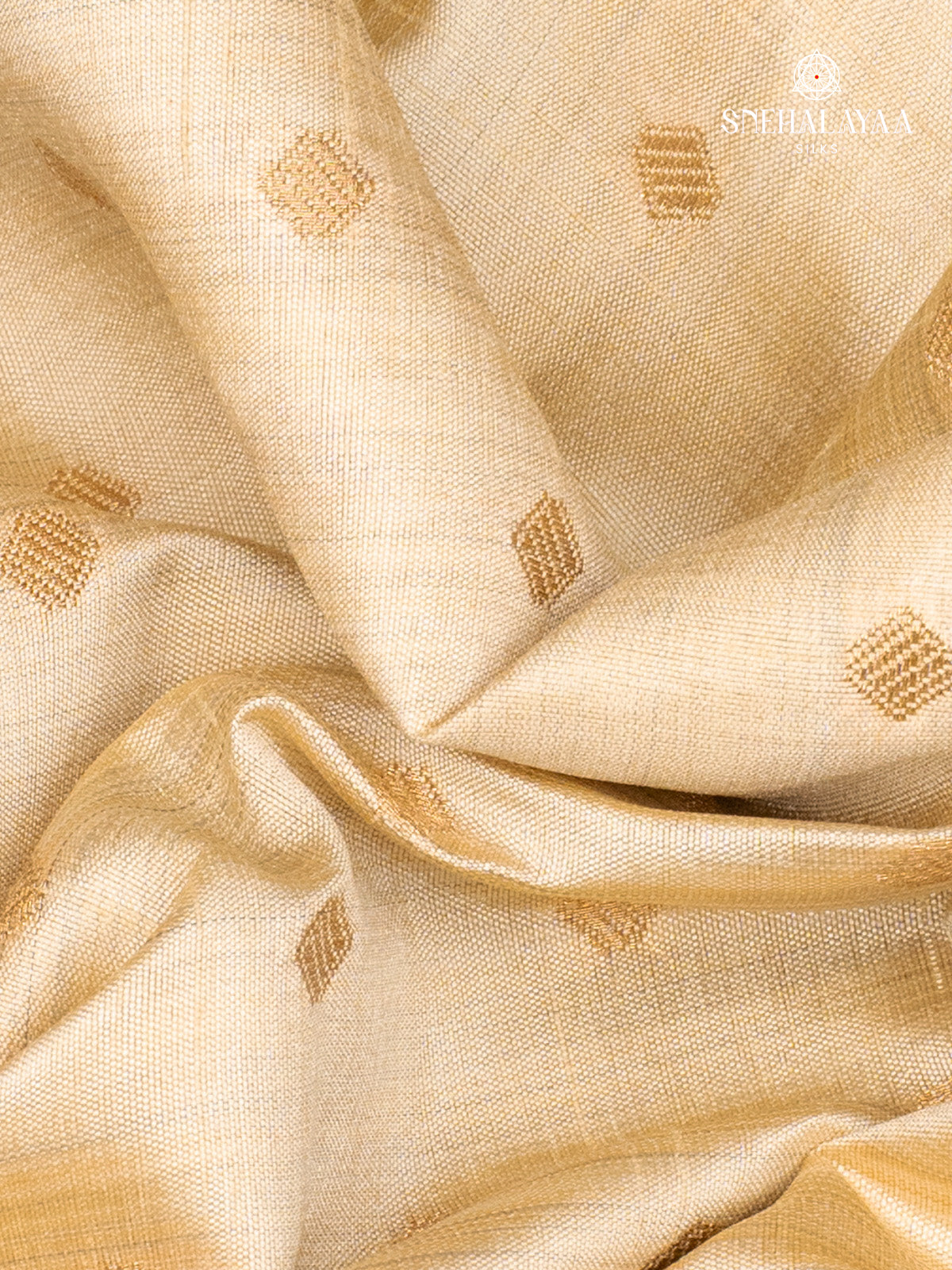 Beige Raw Silk Saree