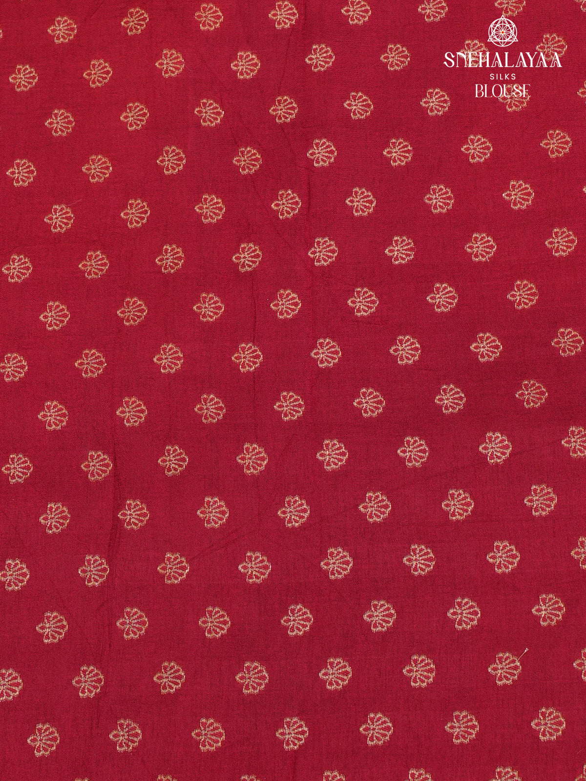 Beige Banaras Silk Saree