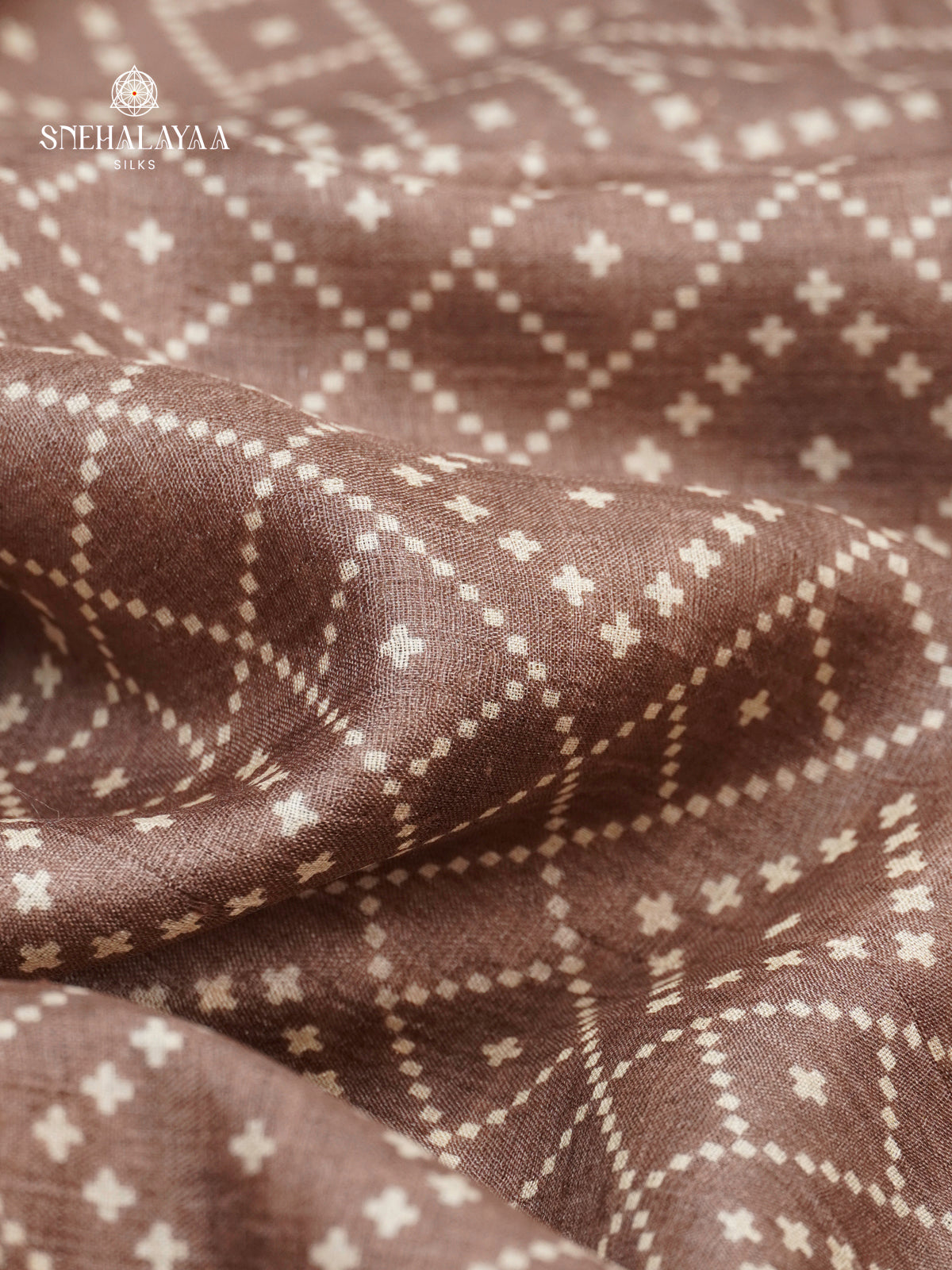 Brown Tussar Saree