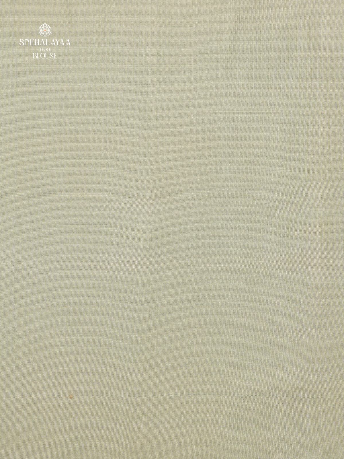 Sea Green Borderless Kanjivaram Soft Silk Saree